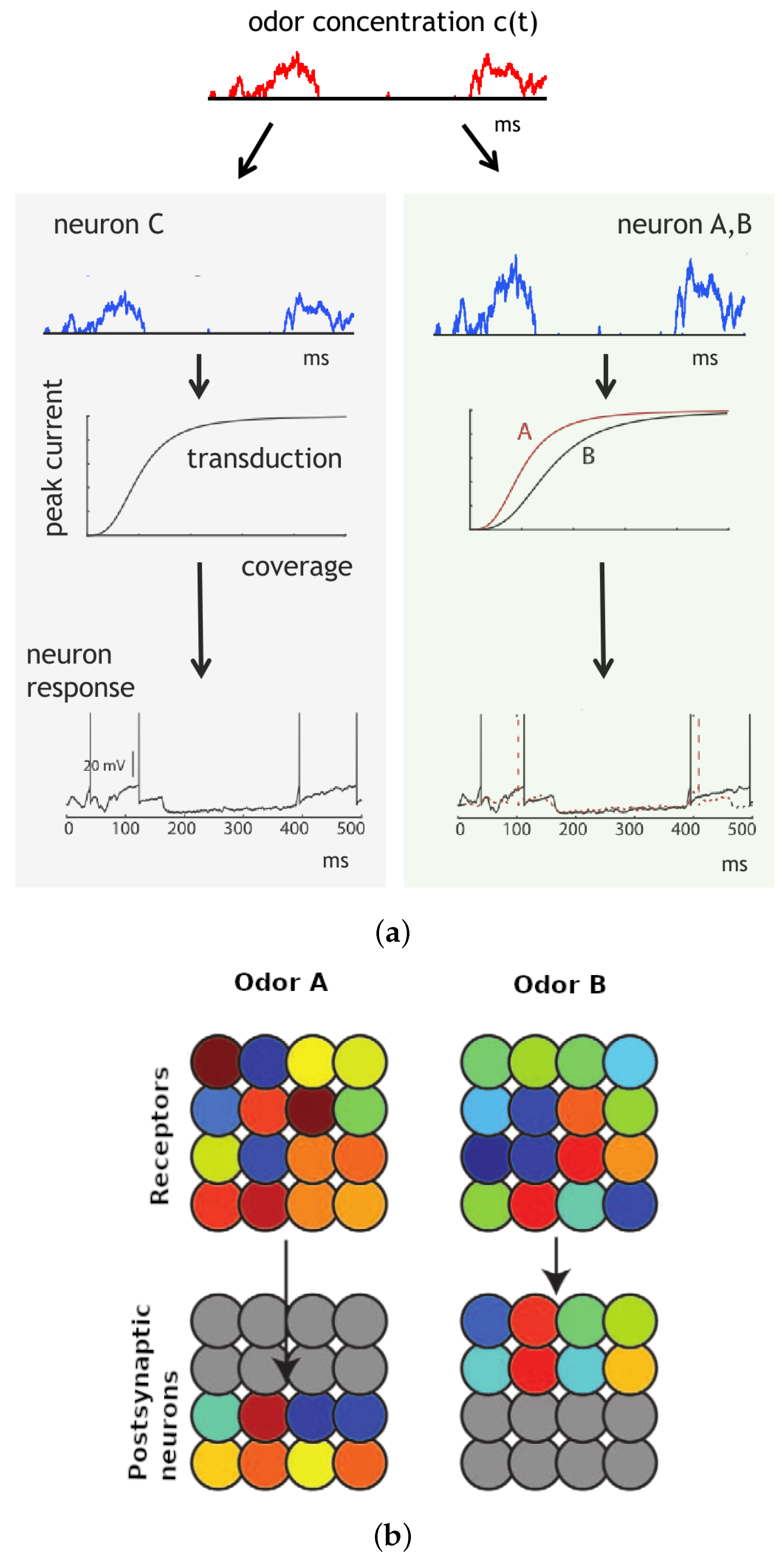 Biomimetics 08 00277 g005