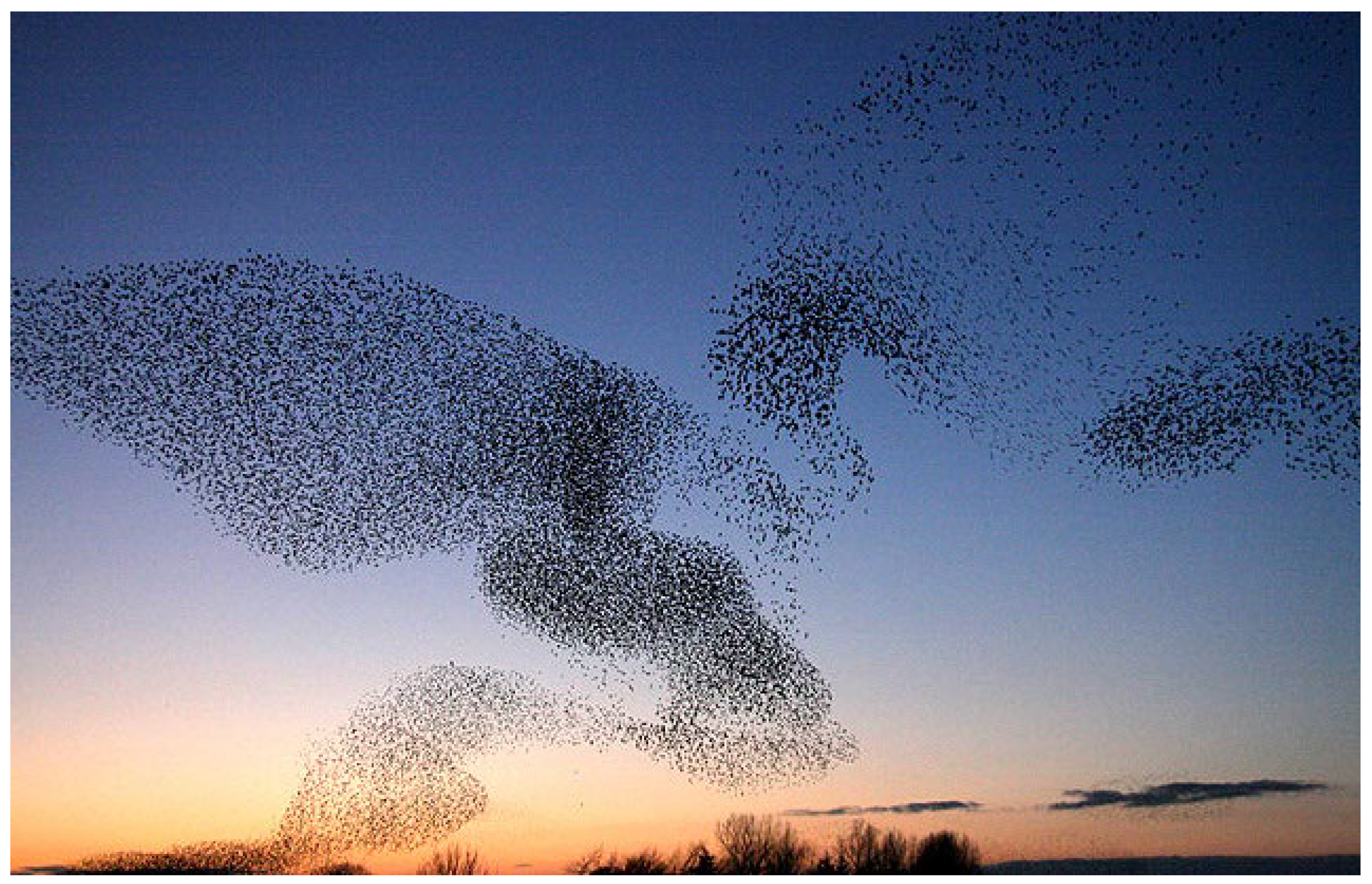 Biomimetics 08 00278 g018