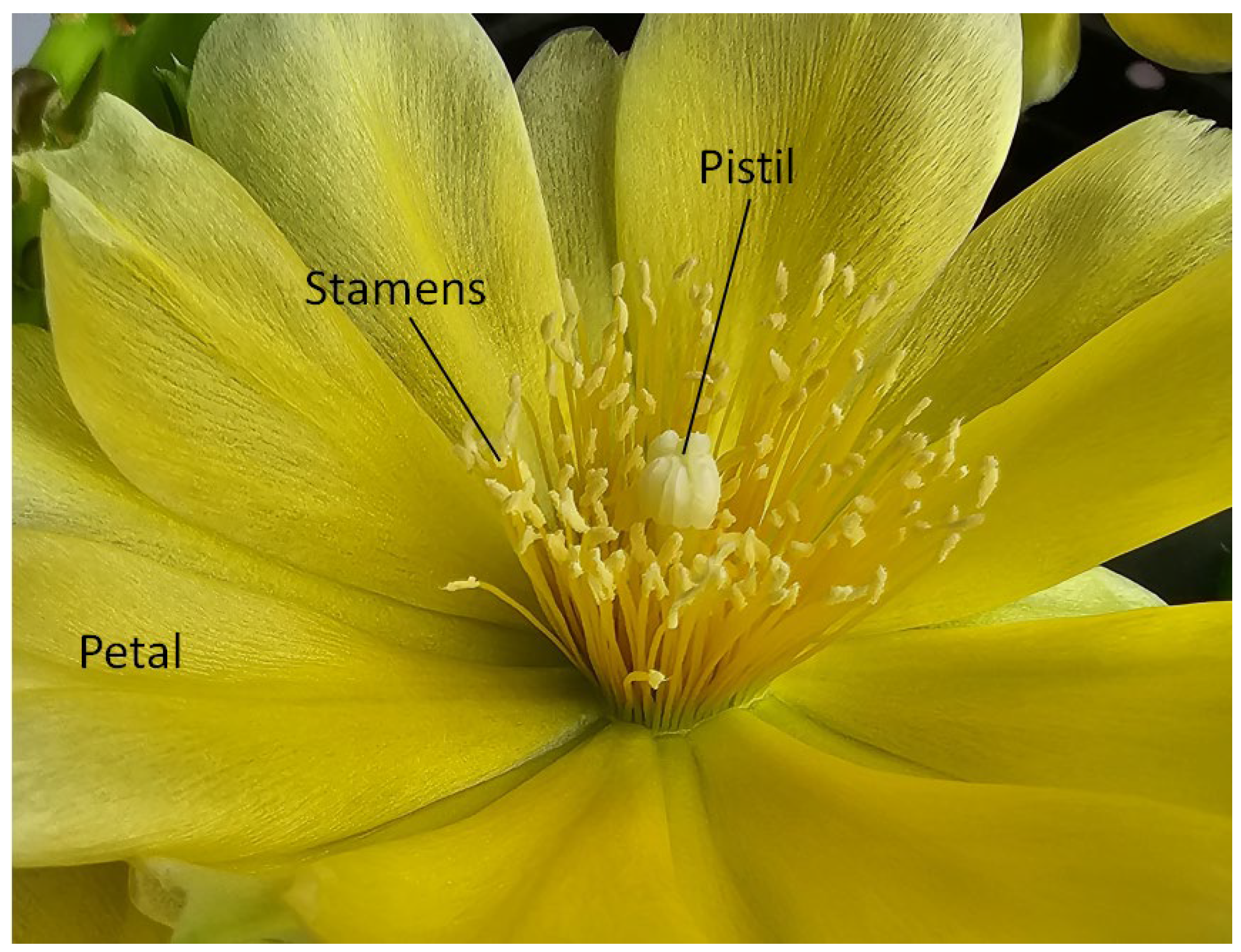 Biomimetics 08 00278 g023