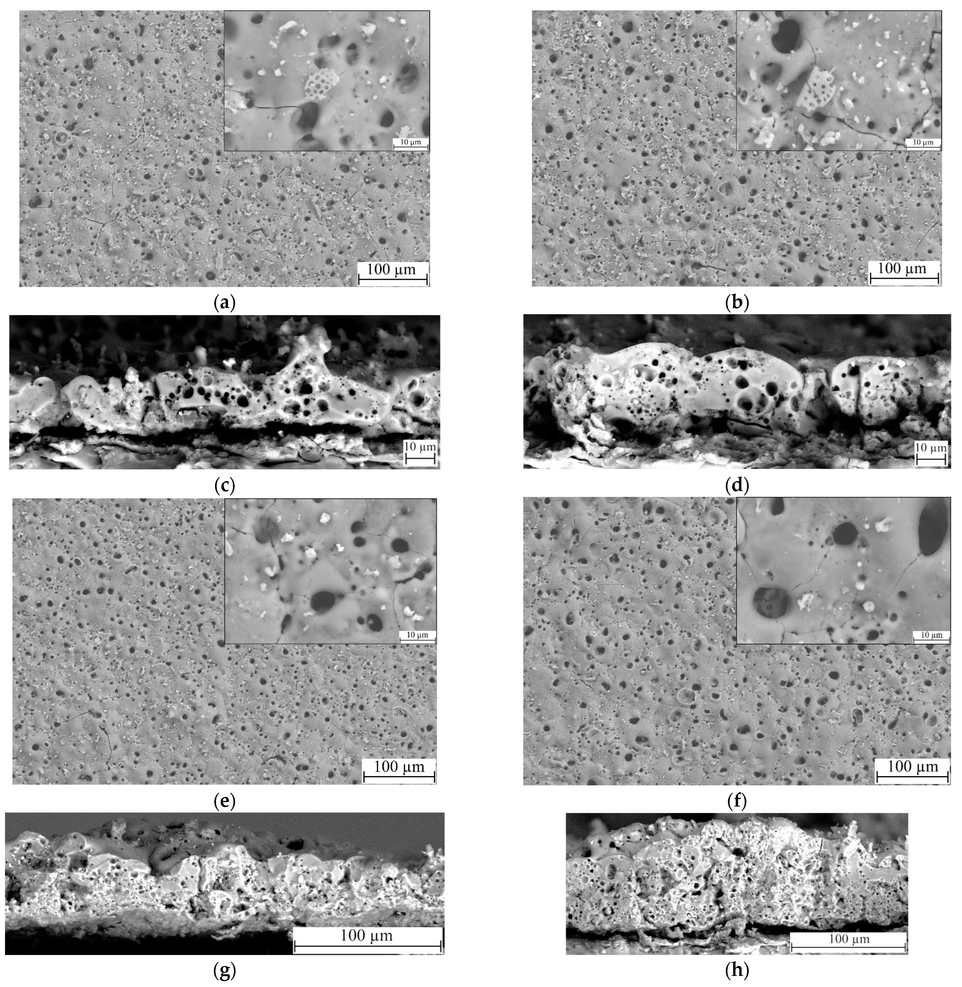 Biomimetics 08 00280 g003 Biomimetics 08 00280 g003