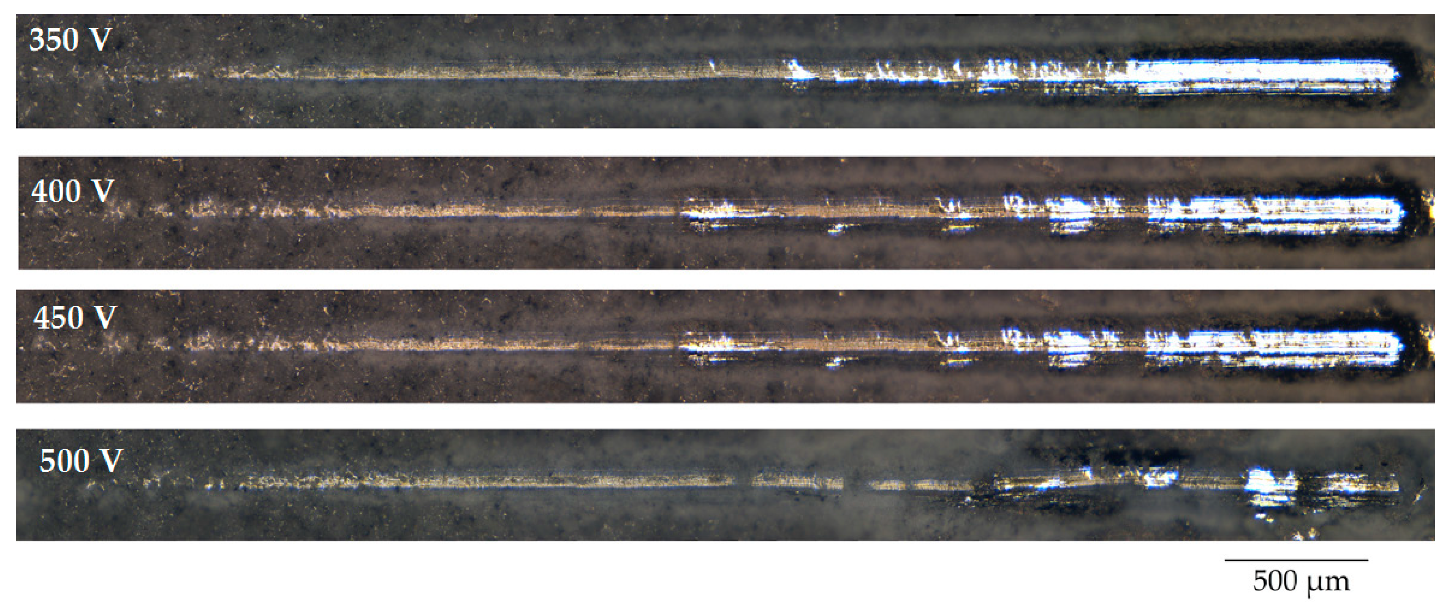 Biomimetics 08 00280 g007 Biomimetics 08 00280 g007