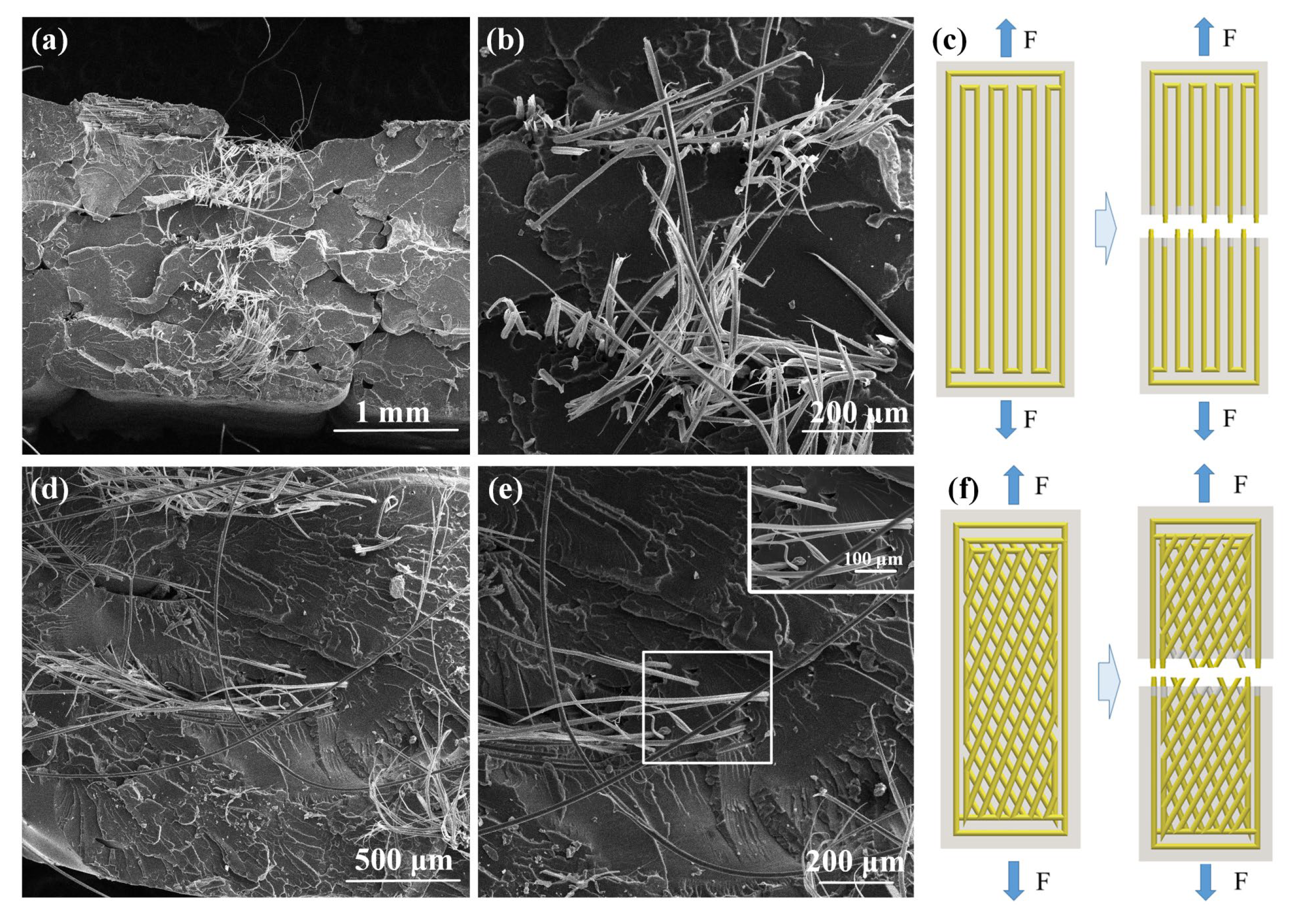 Biomimetics 08 00283 g007