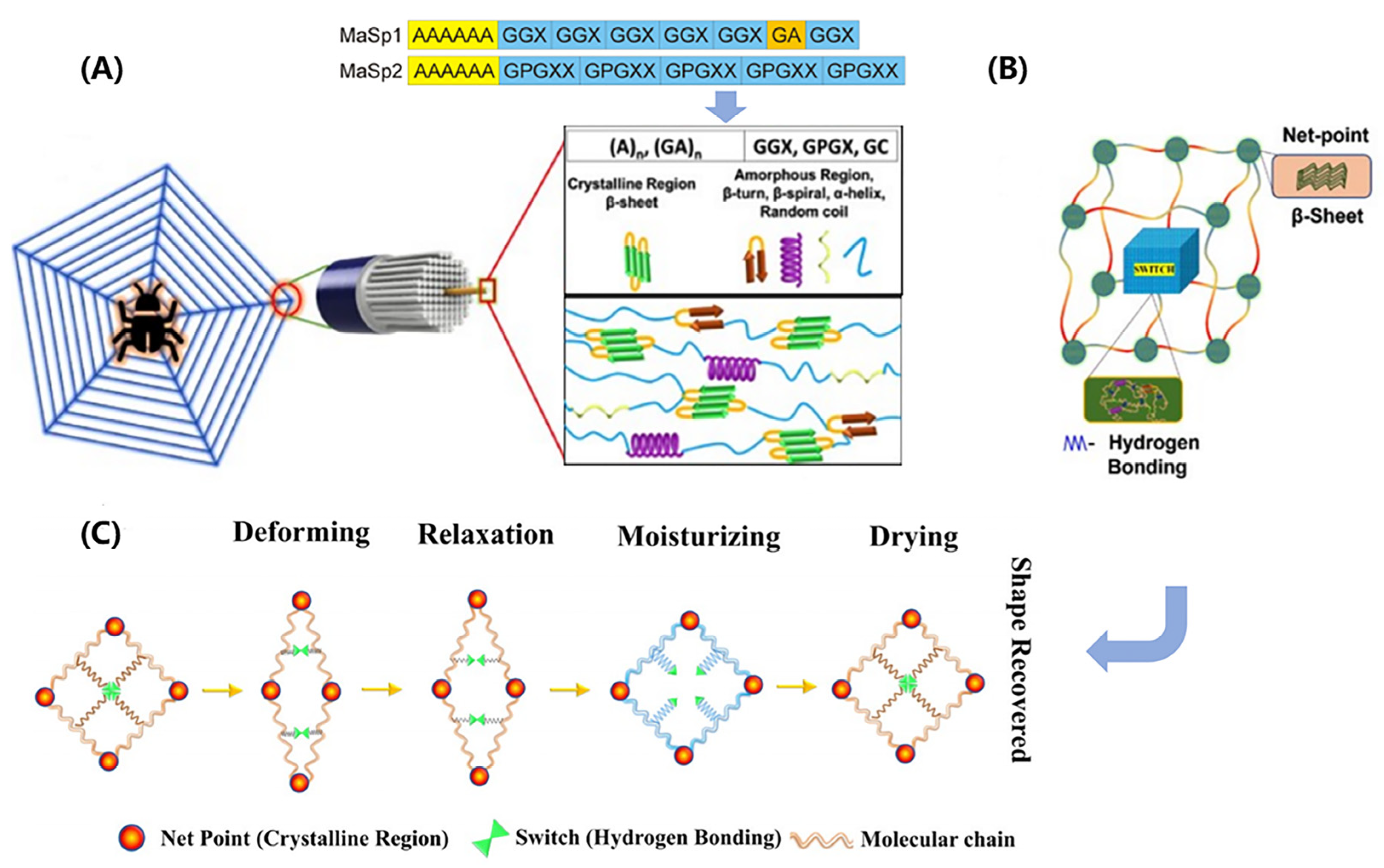 Biomimetics 08 00284 g003 Biomimetics 08 00284 g003