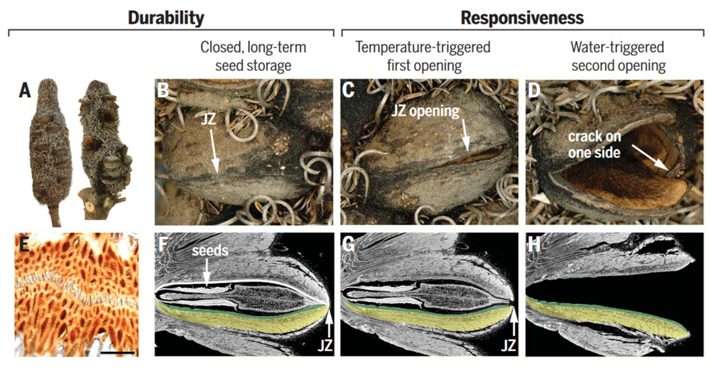 Biomimetics 08 00284 g009 Biomimetics 08 00284 g009