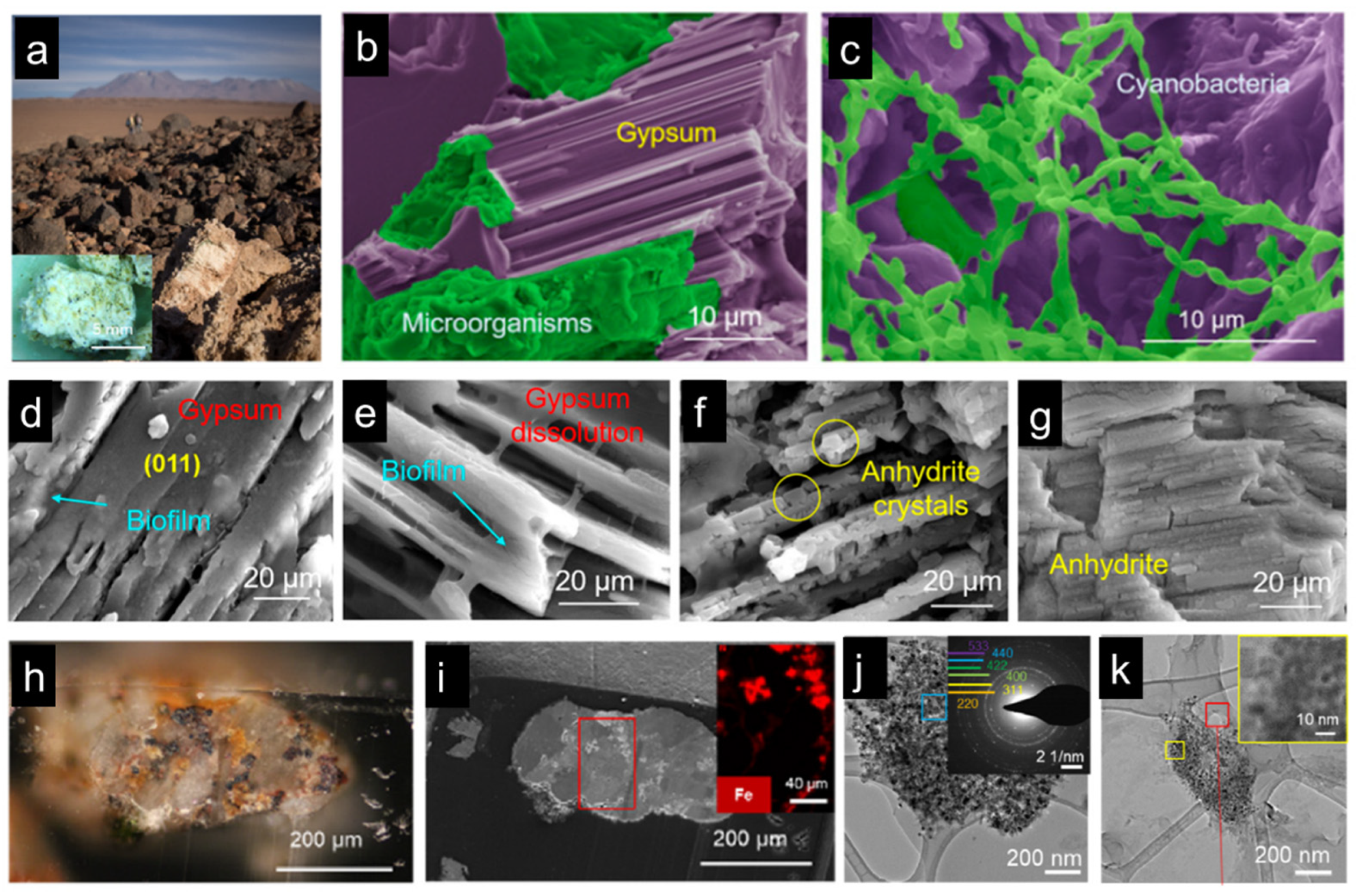 Biomimetics 08 00284 g010 Biomimetics 08 00284 g010