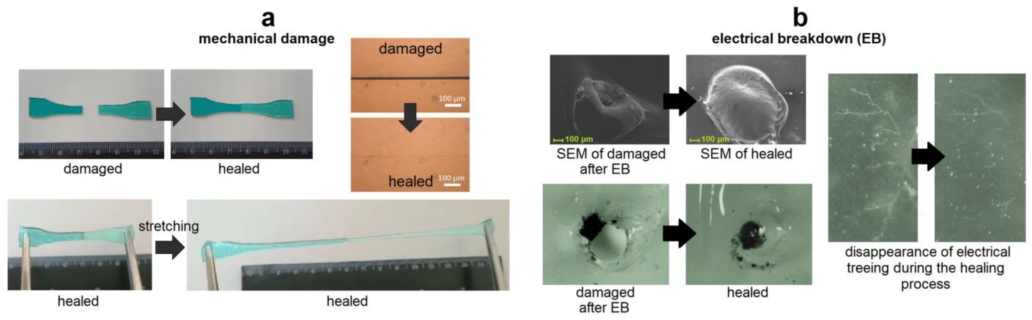 Biomimetics Free FullText SelfHealing Silicone Materials Looking