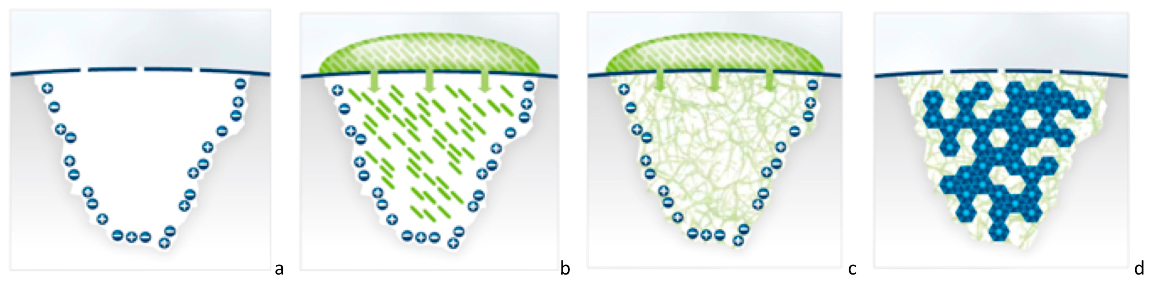Biomimetics 08 00290 g001