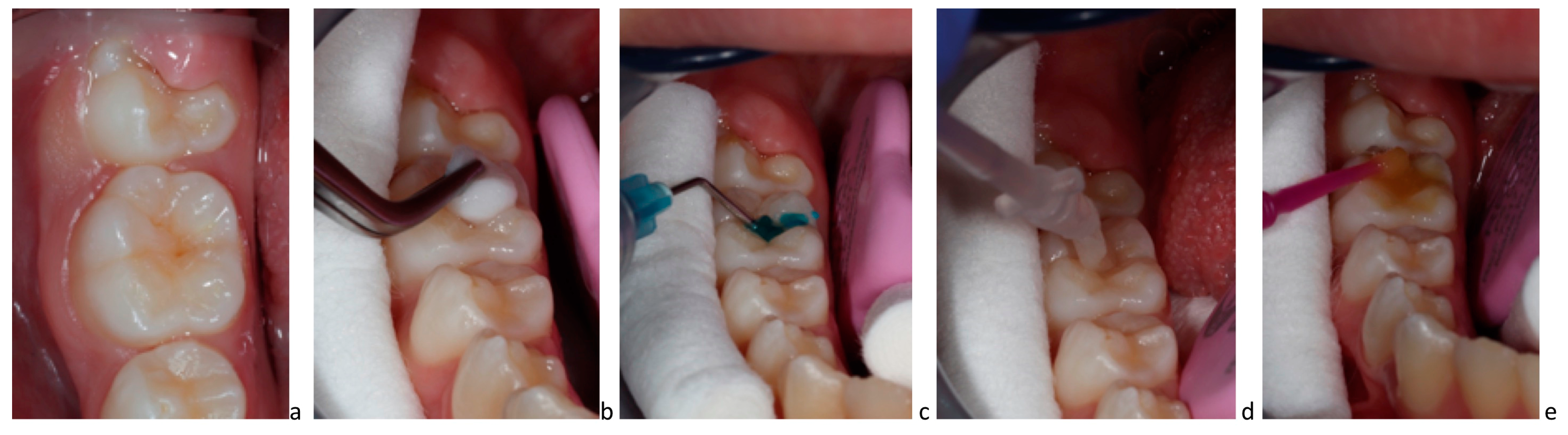 Biomimetics 08 00290 g003