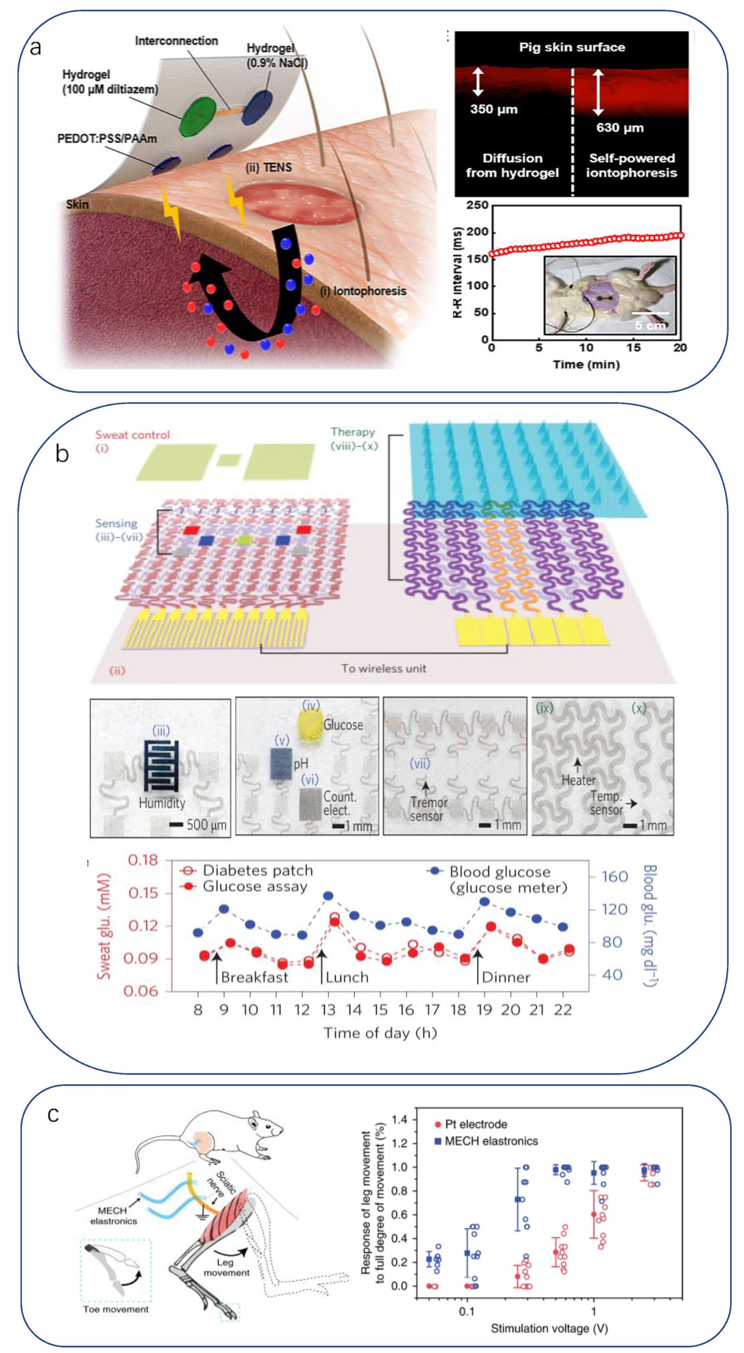 Biomimetics 08 00293 g005 Biomimetics 08 00293 g005