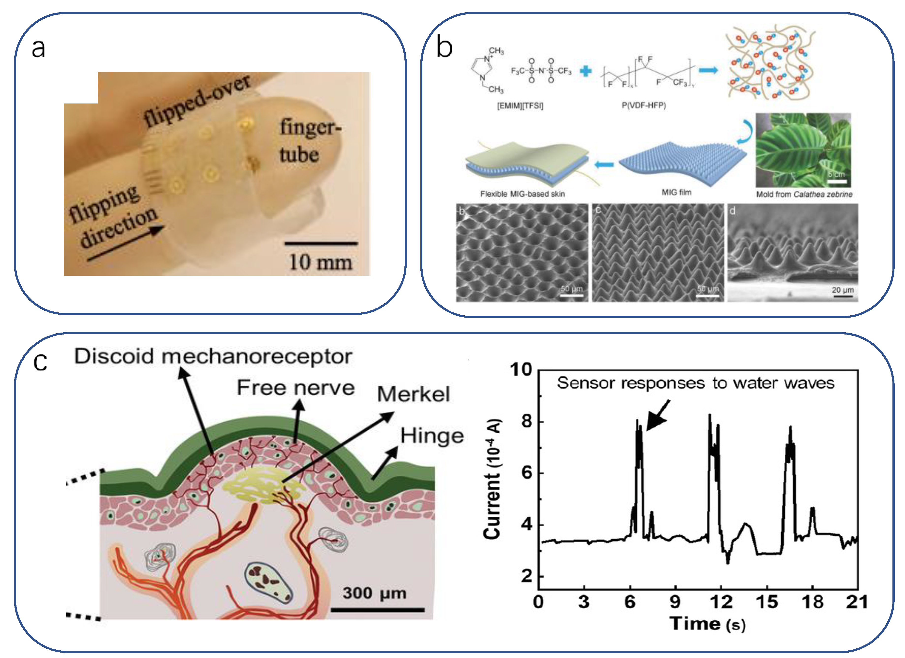 Biomimetics 08 00293 g006 Biomimetics 08 00293 g006