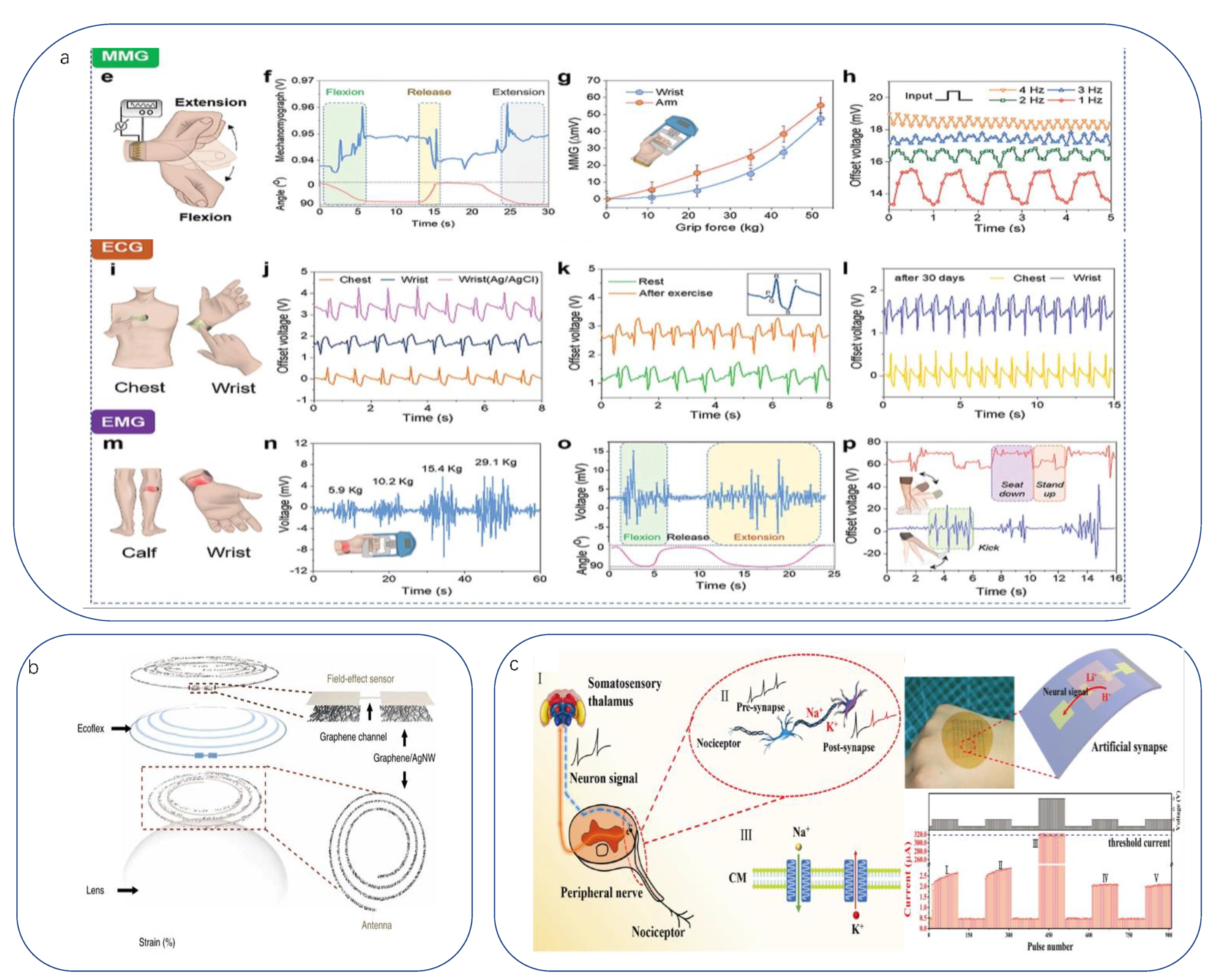 Biomimetics 08 00293 g007 Biomimetics 08 00293 g007
