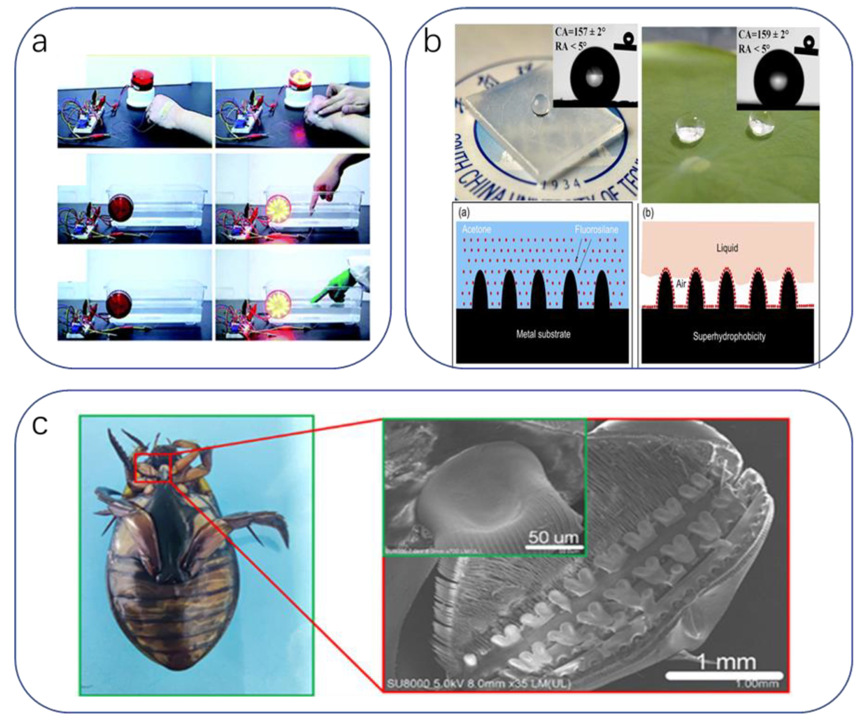 Biomimetics 08 00293 g008 Biomimetics 08 00293 g008