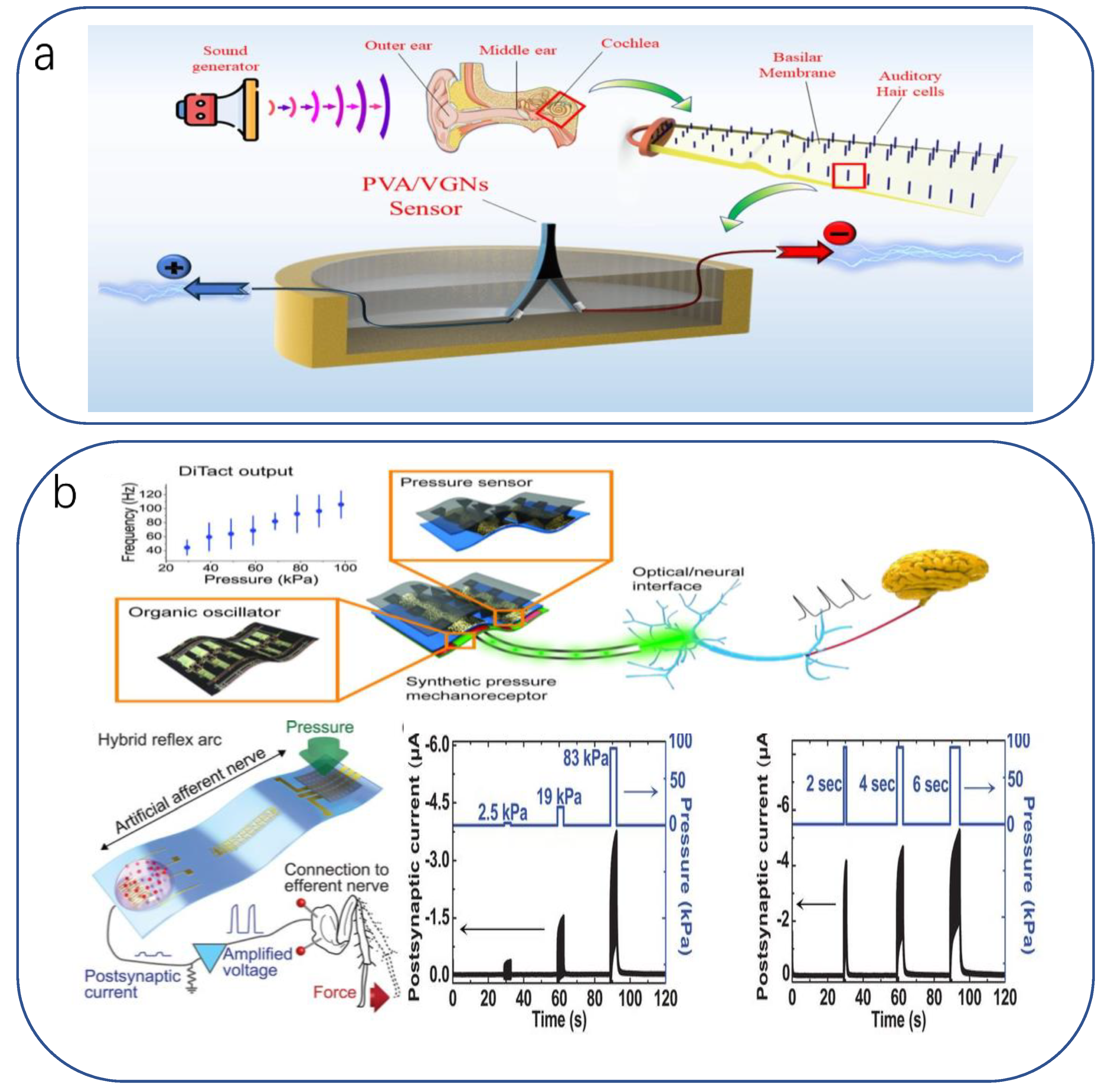 Biomimetics 08 00293 g010 Biomimetics 08 00293 g010