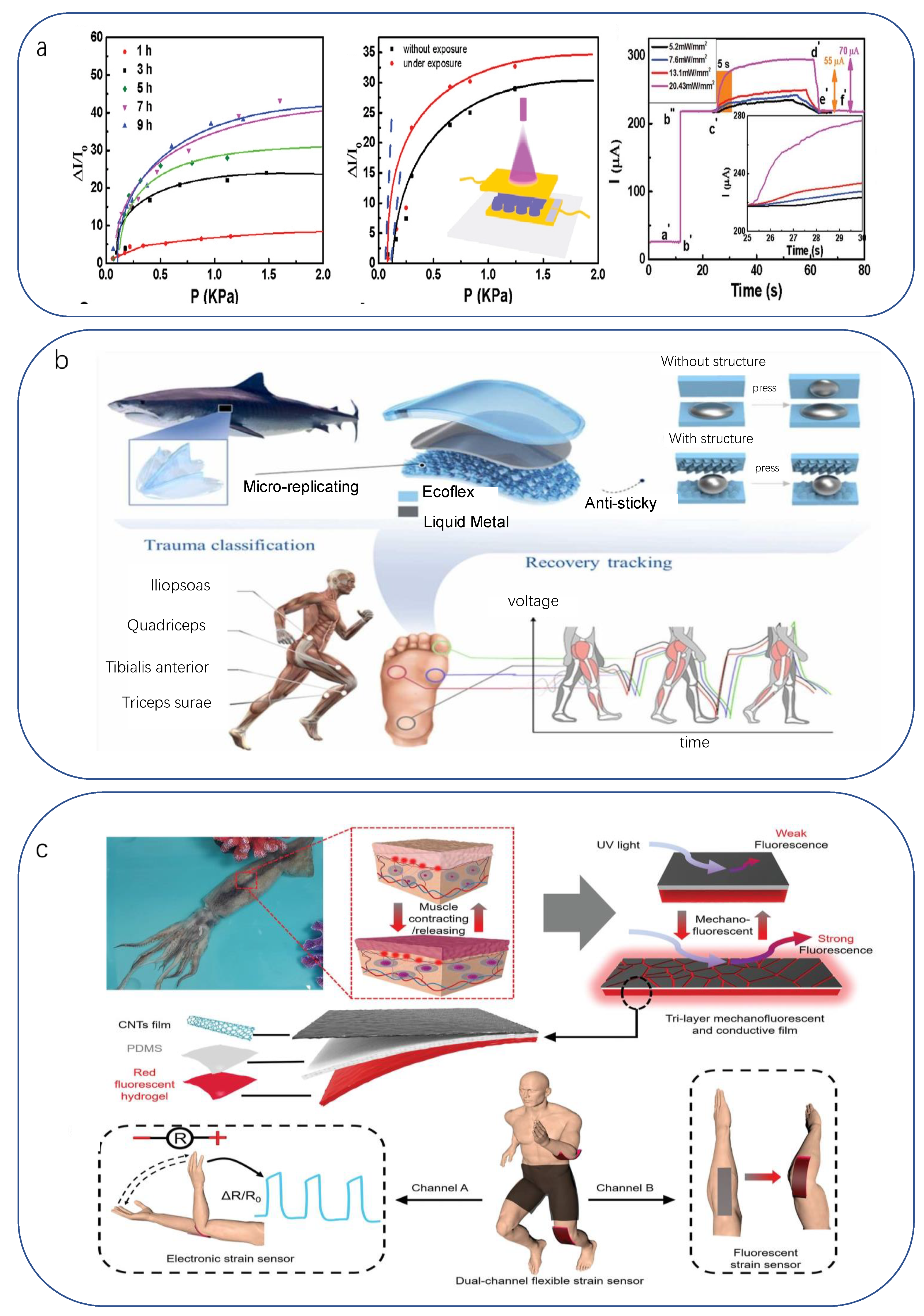 Biomimetics 08 00293 g013 Biomimetics 08 00293 g013