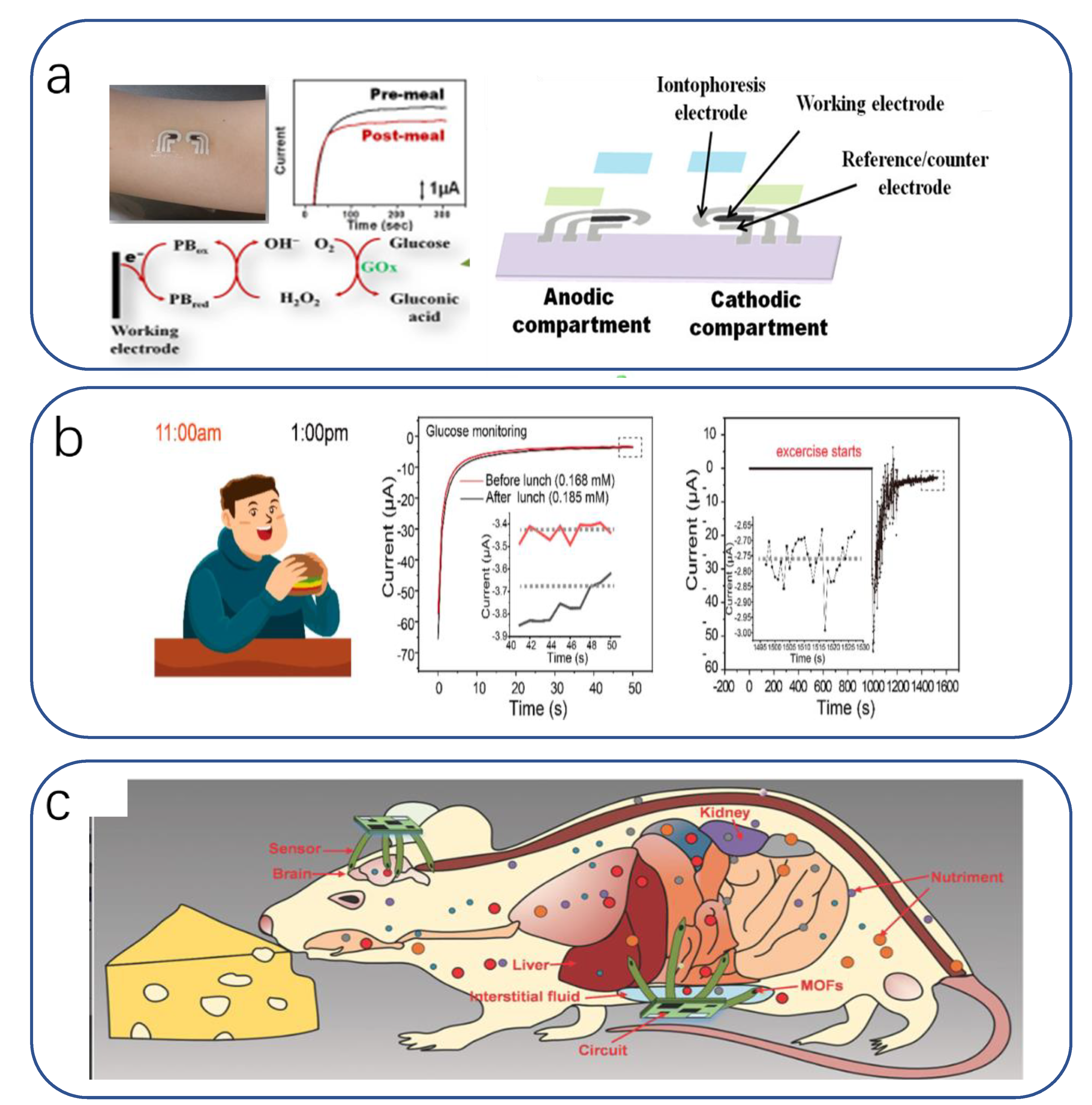 Biomimetics 08 00293 g016 Biomimetics 08 00293 g016