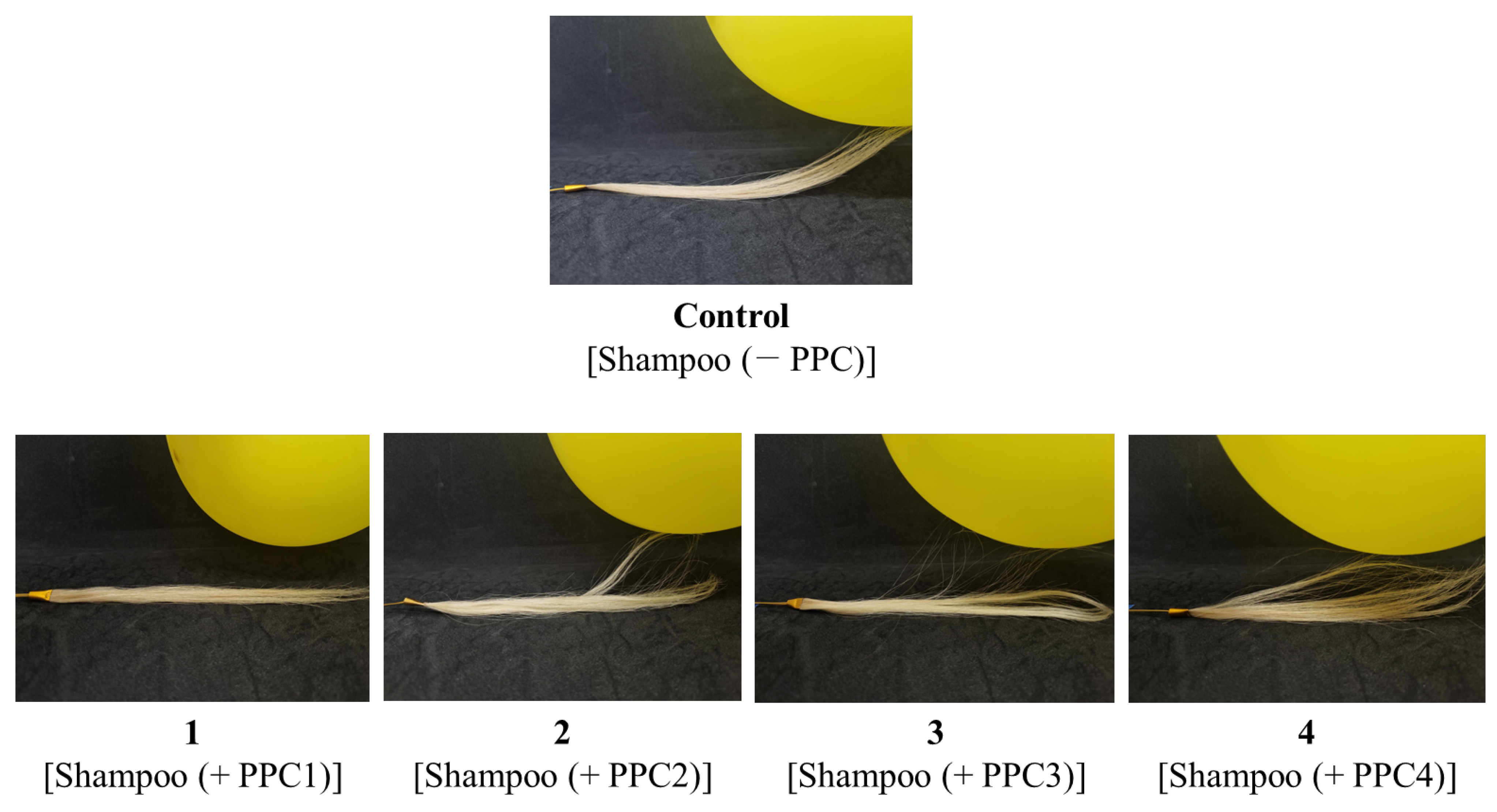 Biomimetics 08 00296 g004 Biomimetics 08 00296 g004