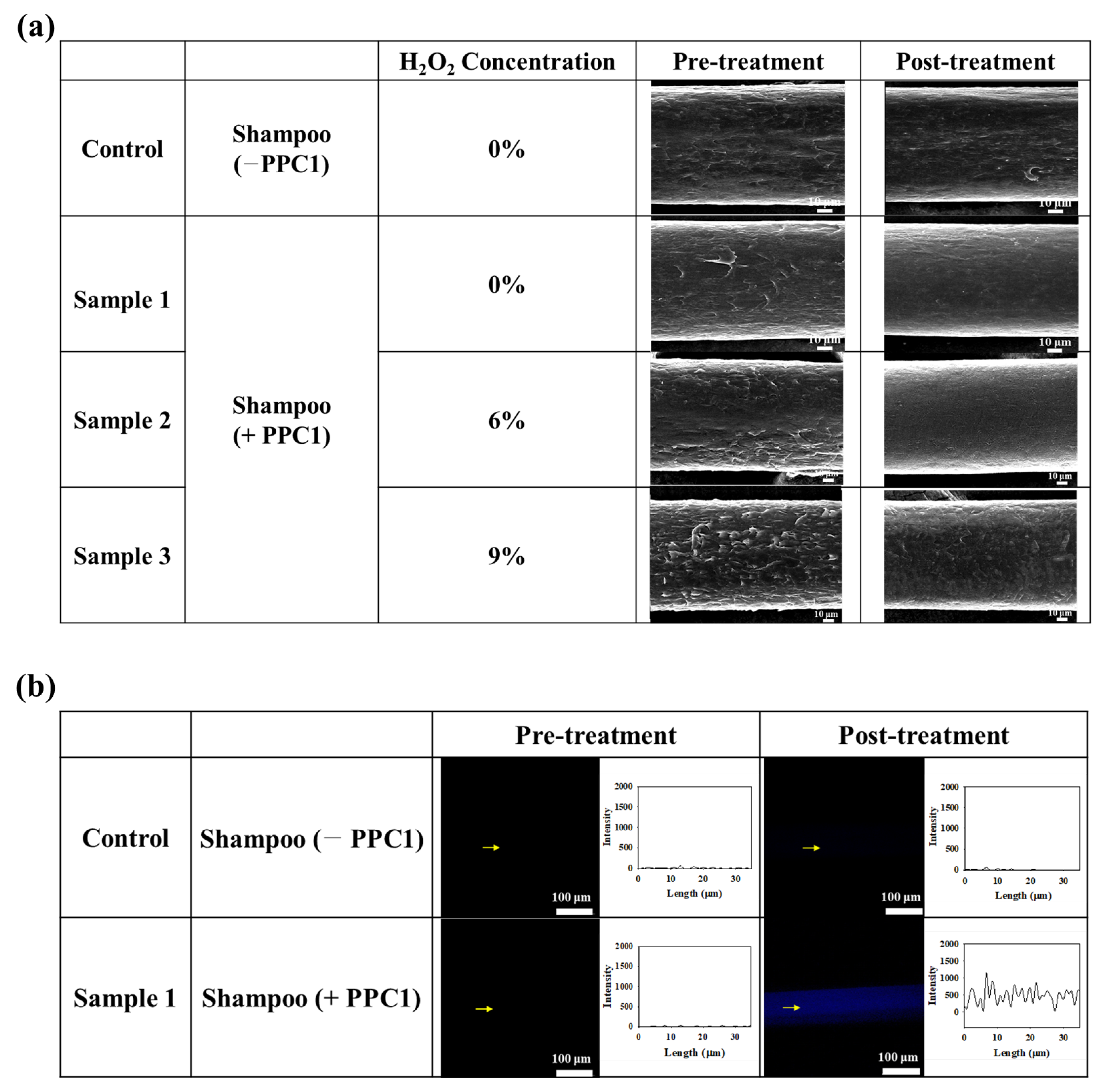Biomimetics 08 00296 g005 Biomimetics 08 00296 g005