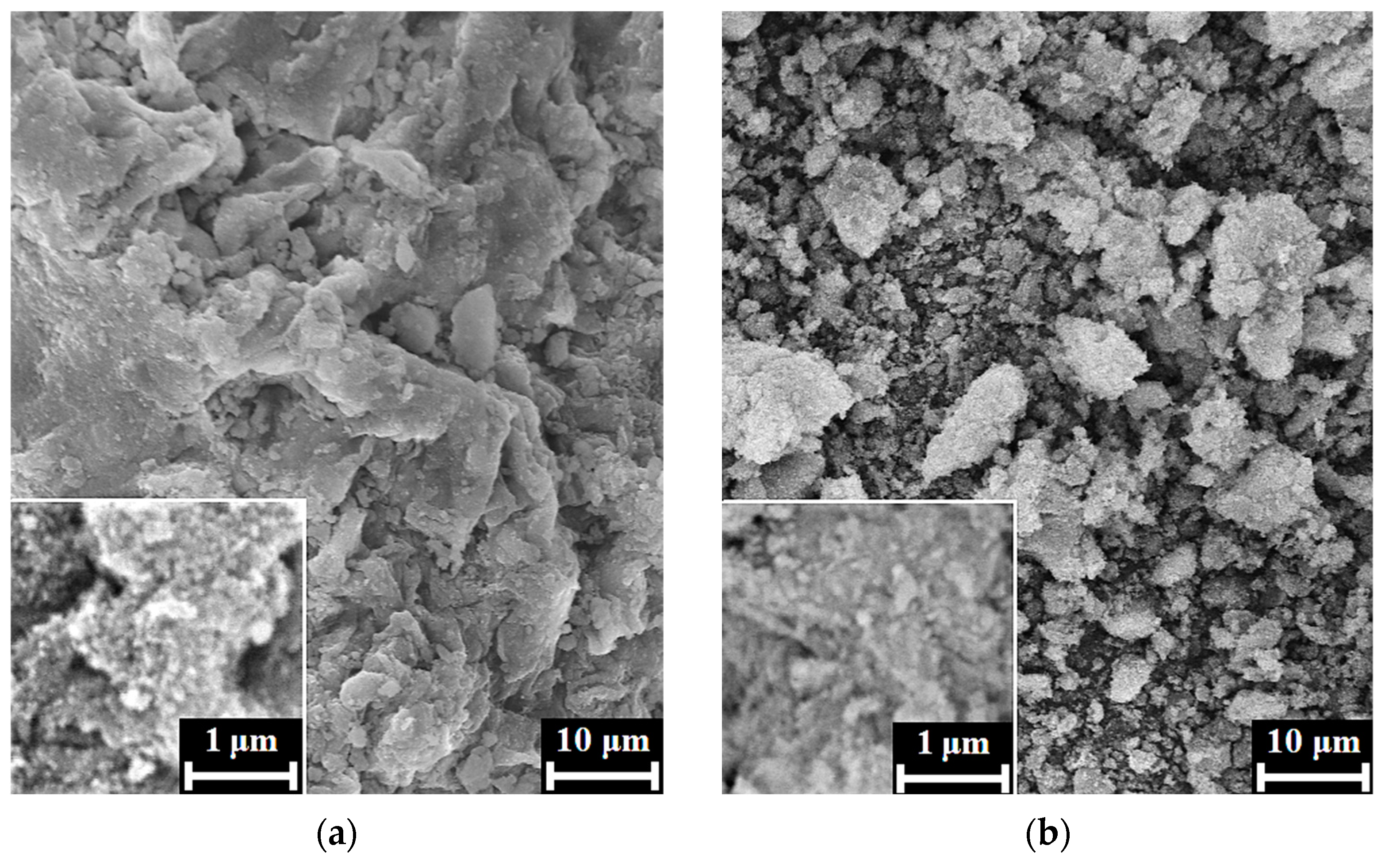 Biomimetics 08 00297 g003a Biomimetics 08 00297 g003a