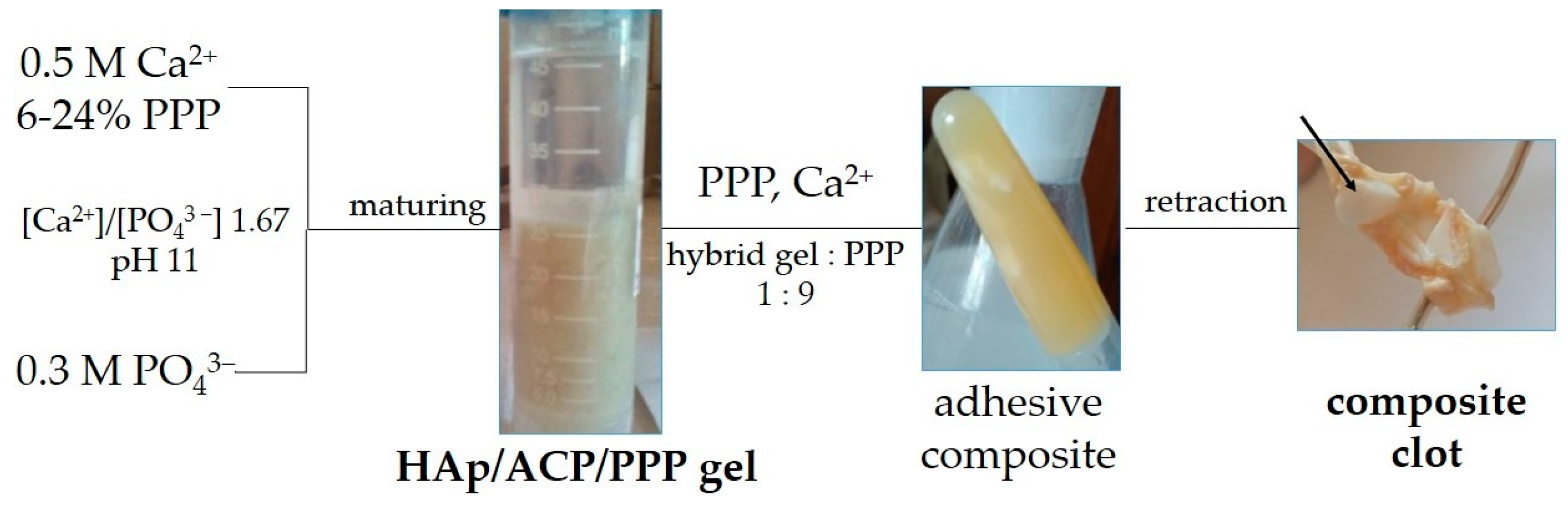 Biomimetics 08 00297 g006 Biomimetics 08 00297 g006