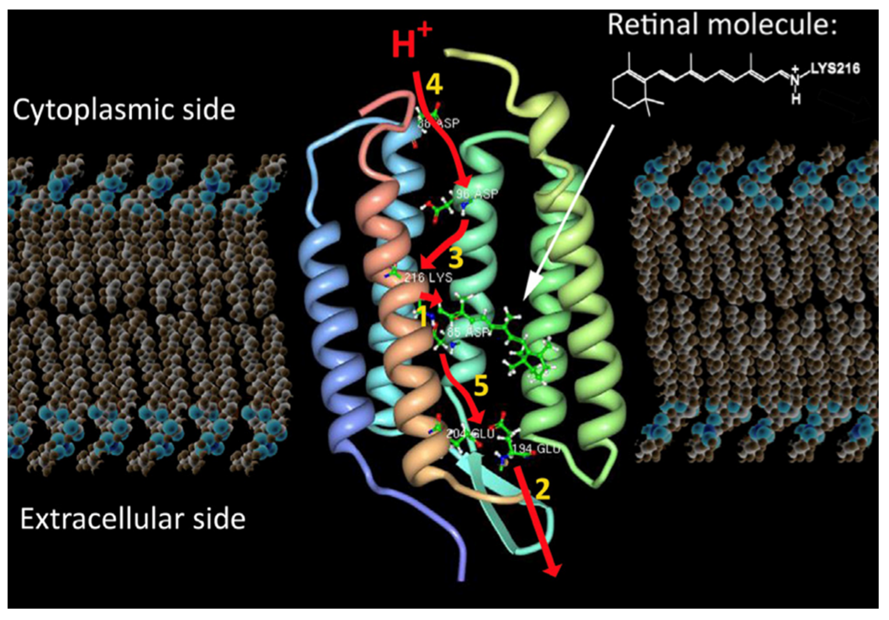 Biomimetics 08 00298 g020 Biomimetics 08 00298 g020