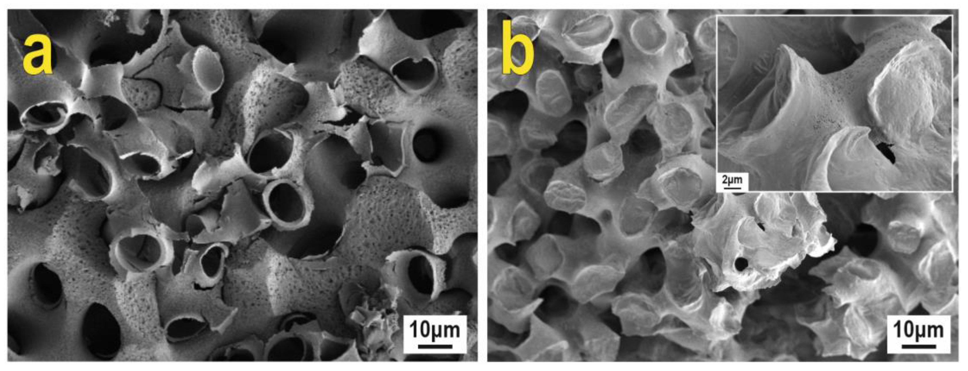 Biomimetics 08 00300 g005 Biomimetics 08 00300 g005