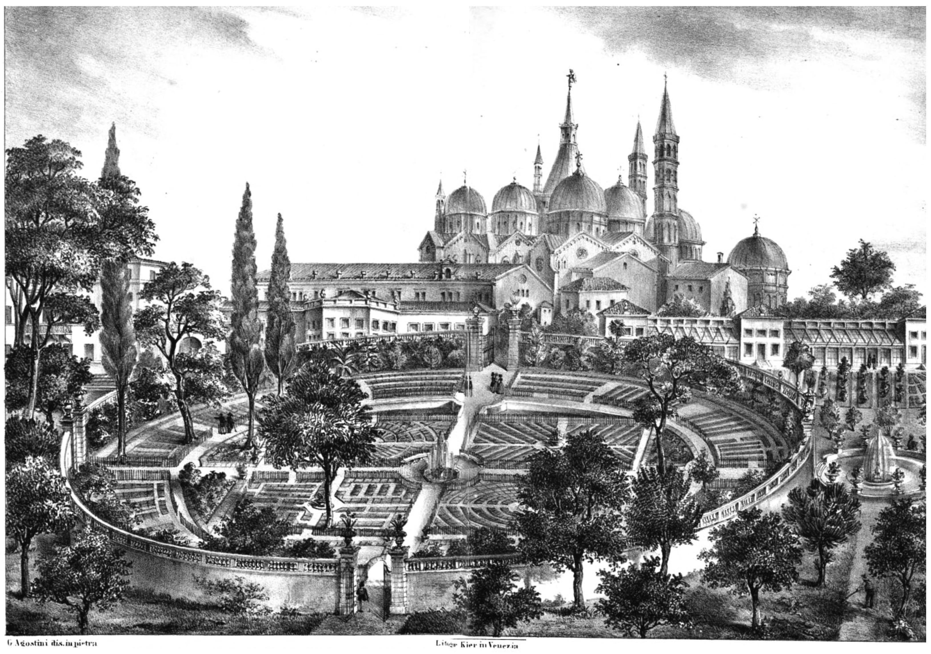 Biomimetics 08 00303 g002 Biomimetics 08 00303 g002