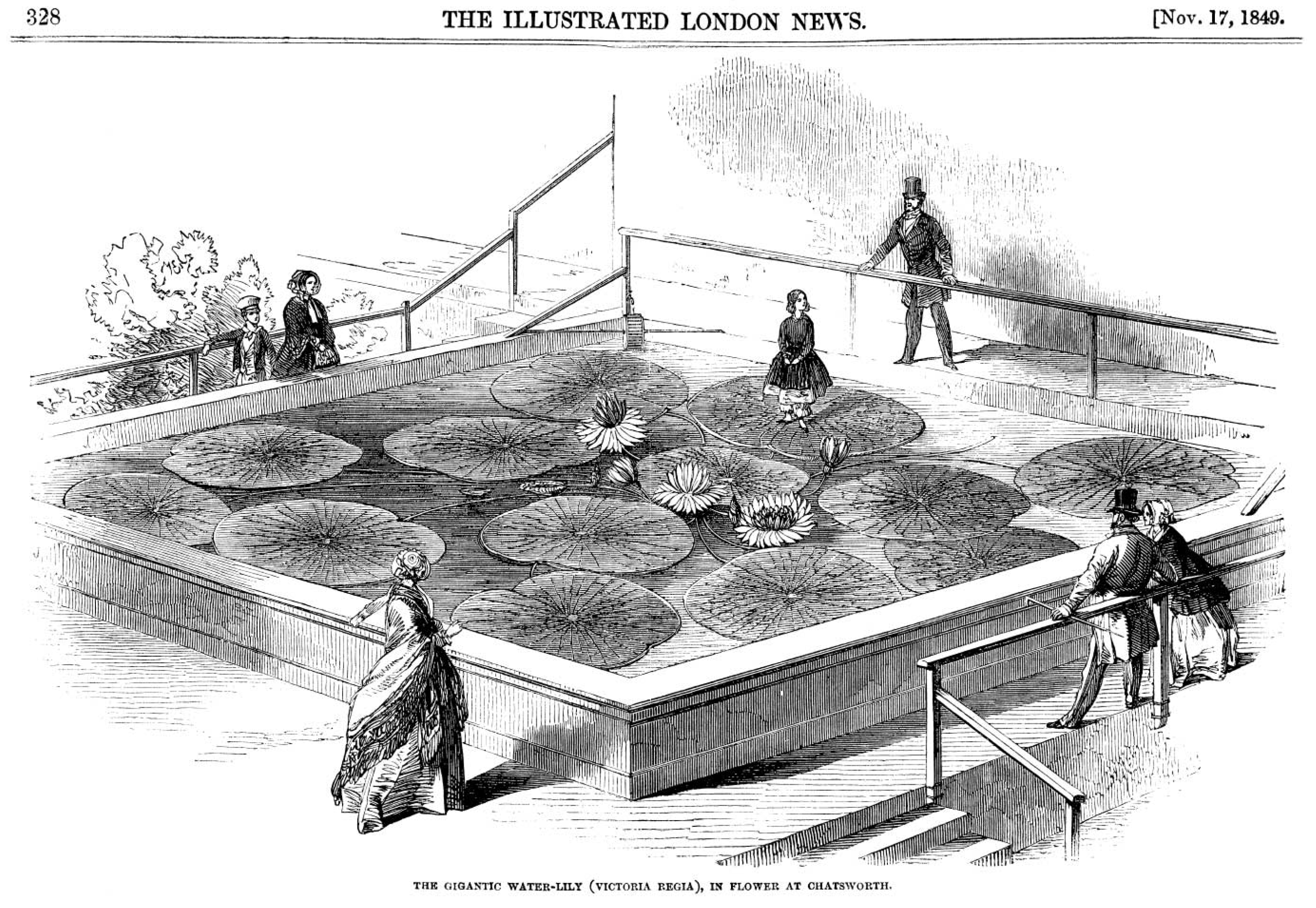 Biomimetics 08 00303 g005 Biomimetics 08 00303 g005