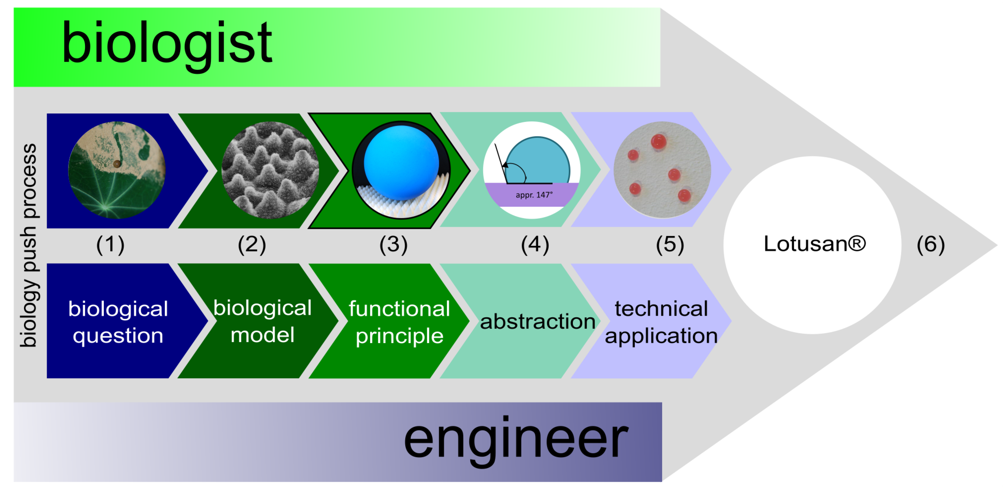 Biomimetics 08 00303 g007 Biomimetics 08 00303 g007