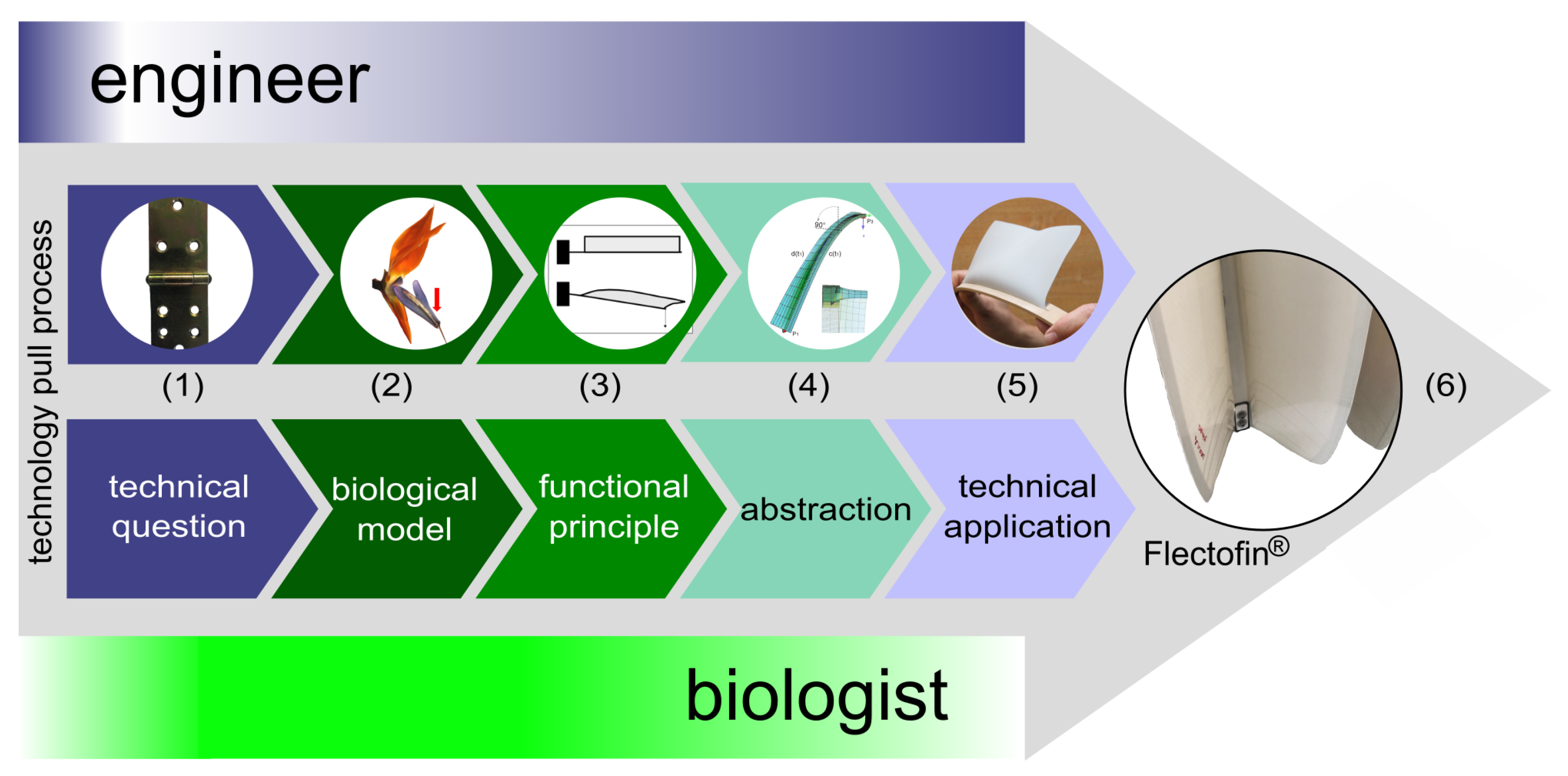Biomimetics 08 00303 g008 Biomimetics 08 00303 g008