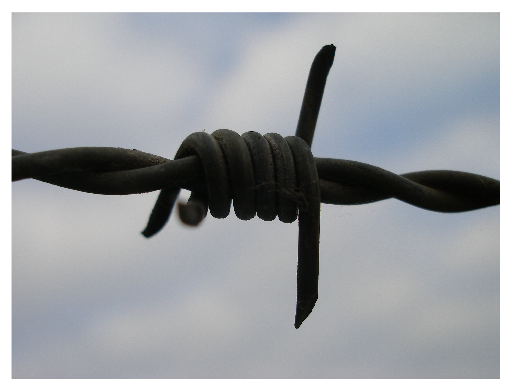 Biomimetics 08 00303 g012 Biomimetics 08 00303 g012