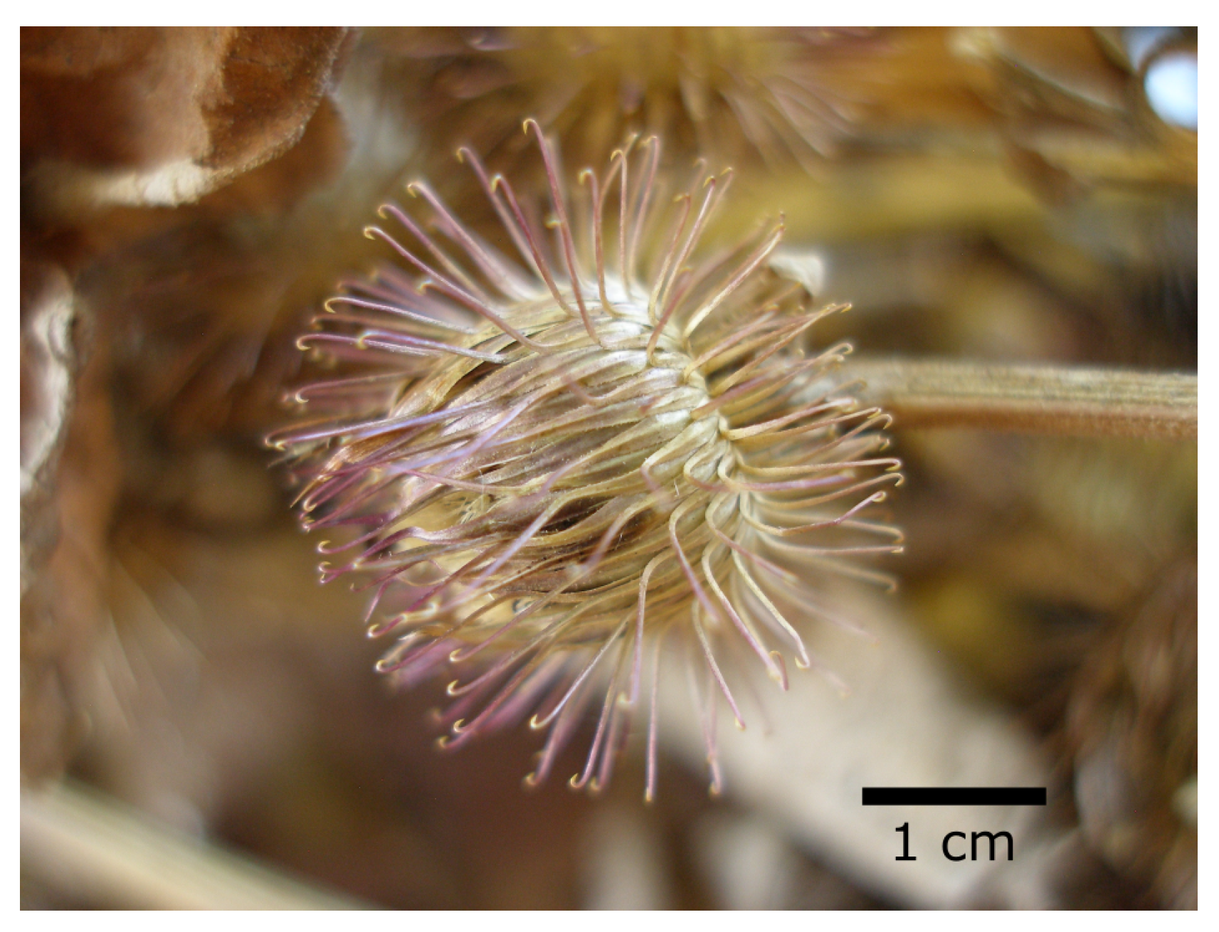 Biomimetics 08 00303 g013 Biomimetics 08 00303 g013