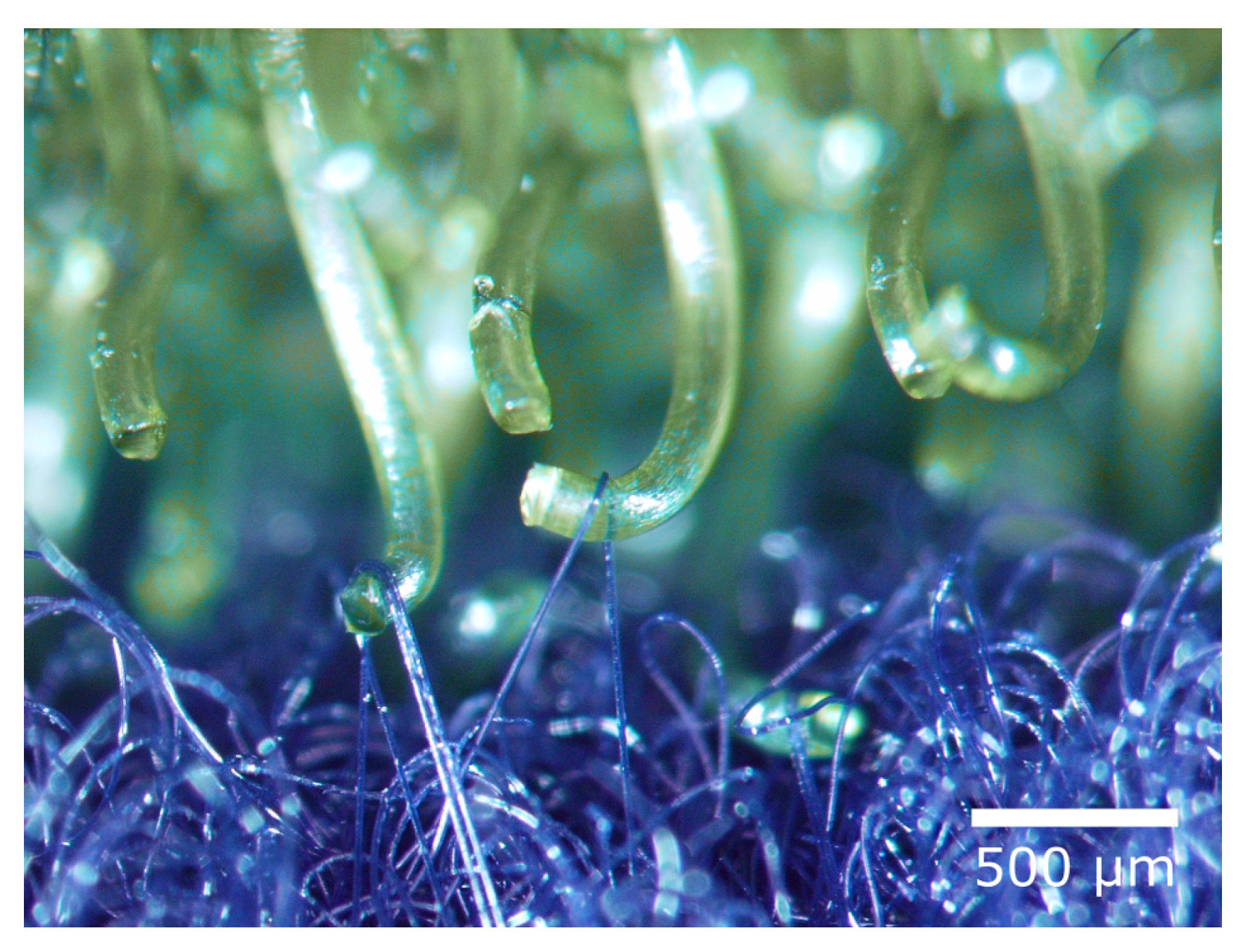 Biomimetics 08 00303 g014 Biomimetics 08 00303 g014