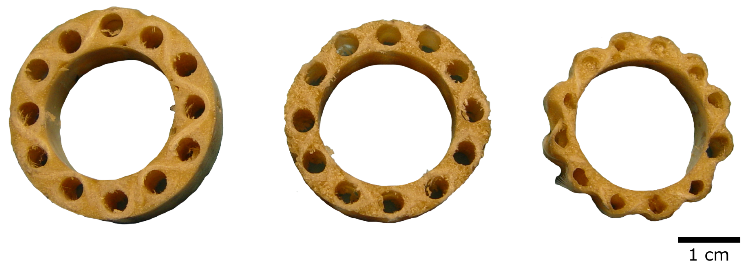 Biomimetics 08 00303 g016 Biomimetics 08 00303 g016