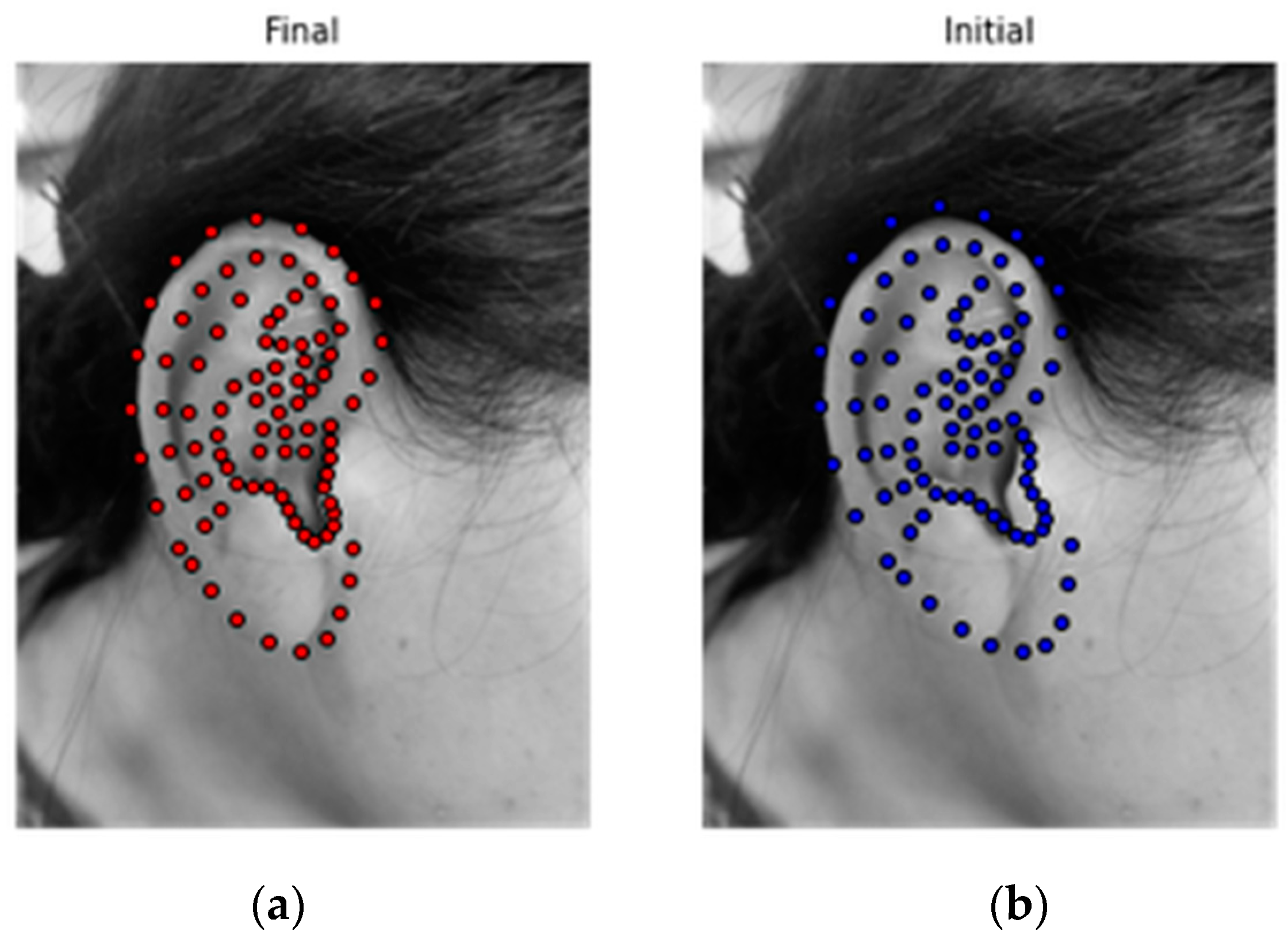 Biomimetics 08 00307 g004