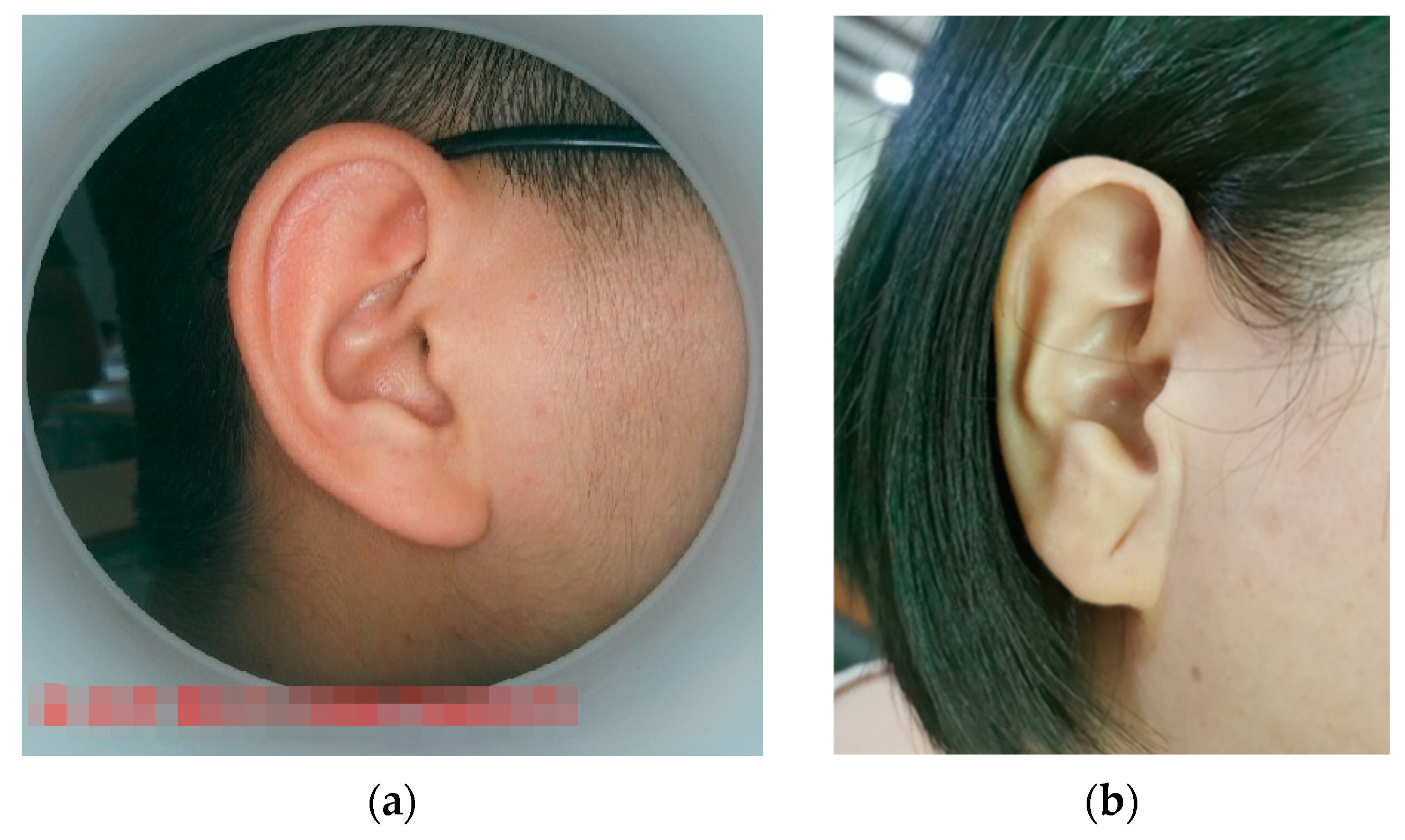 Biomimetics 08 00307 g010