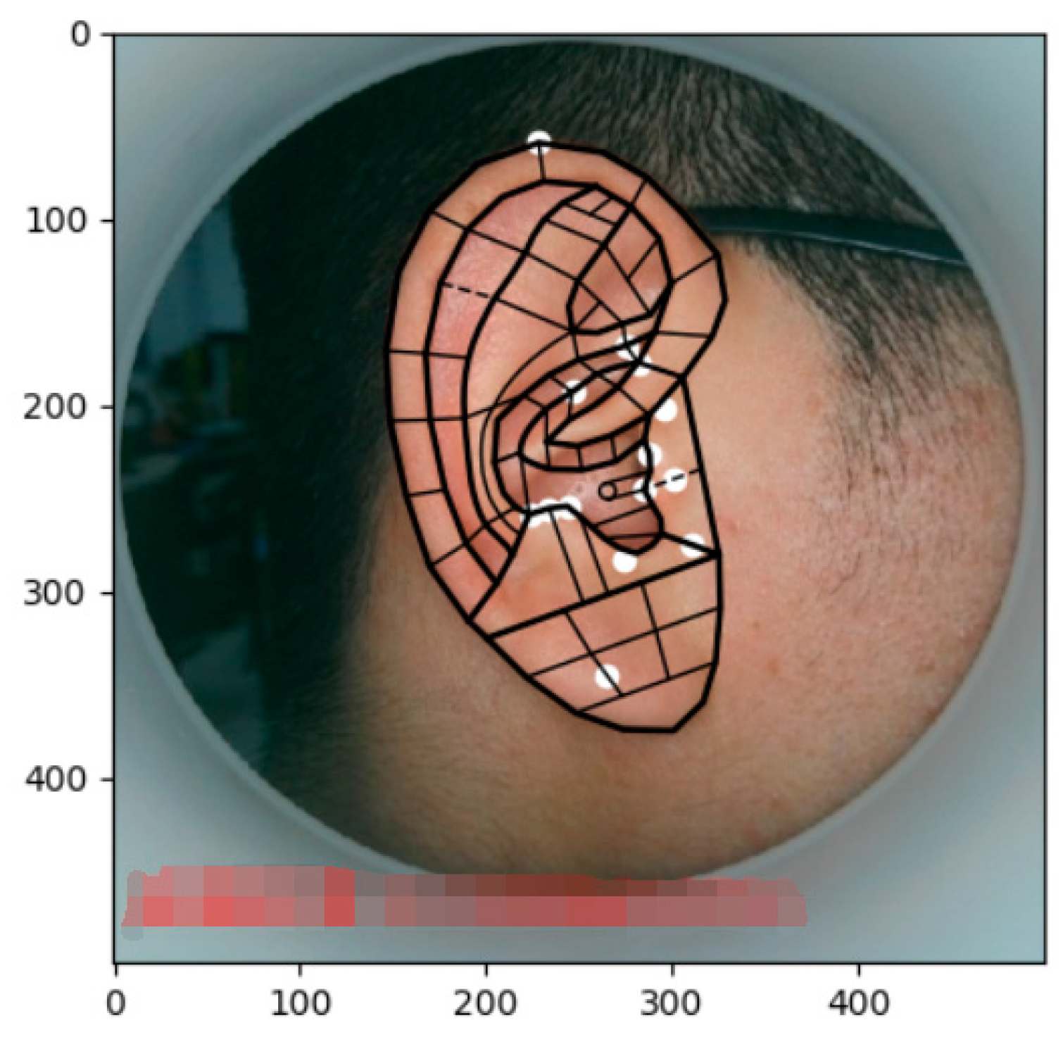 Biomimetics 08 00307 g011