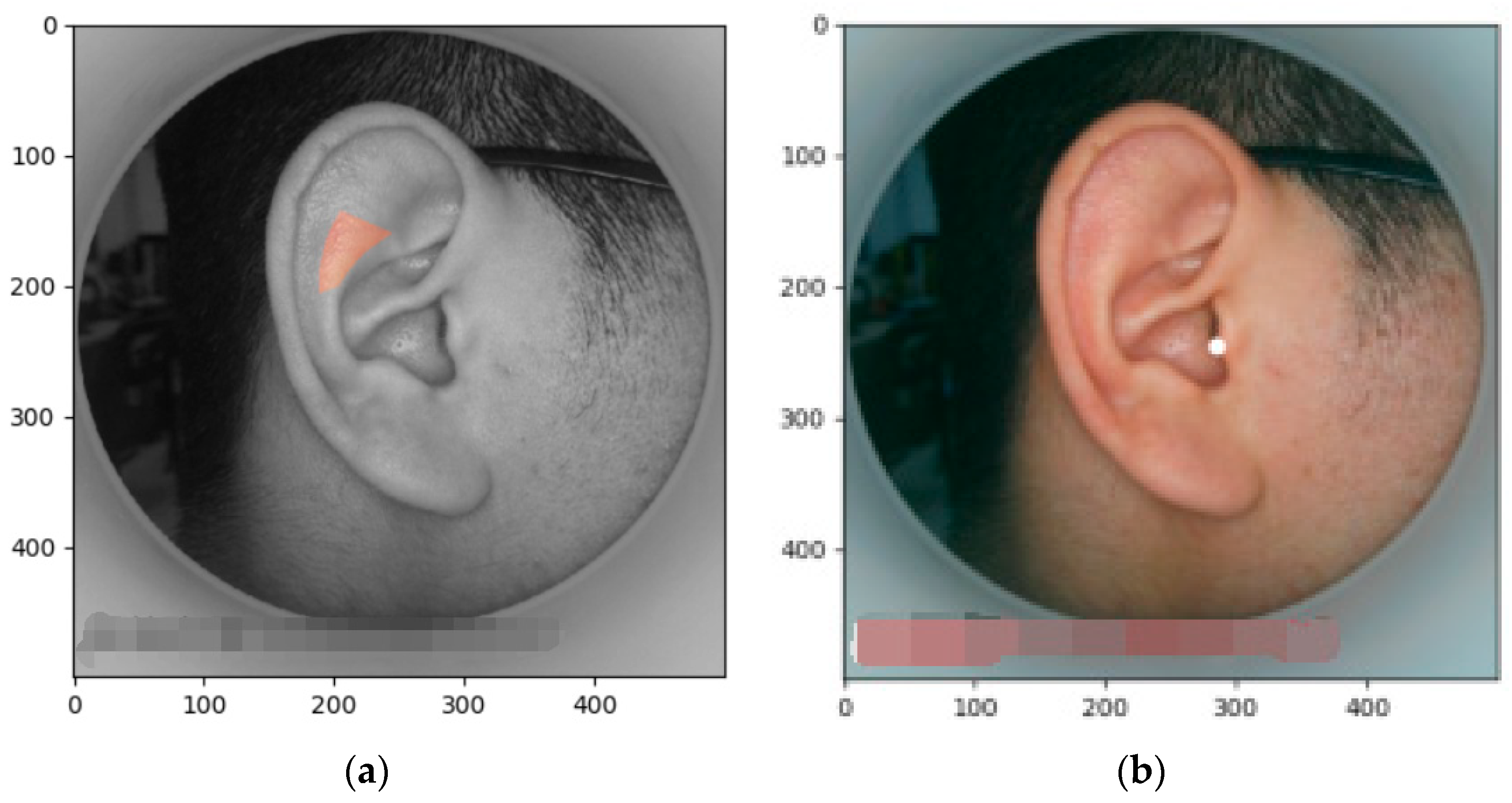 Biomimetics 08 00307 g021
