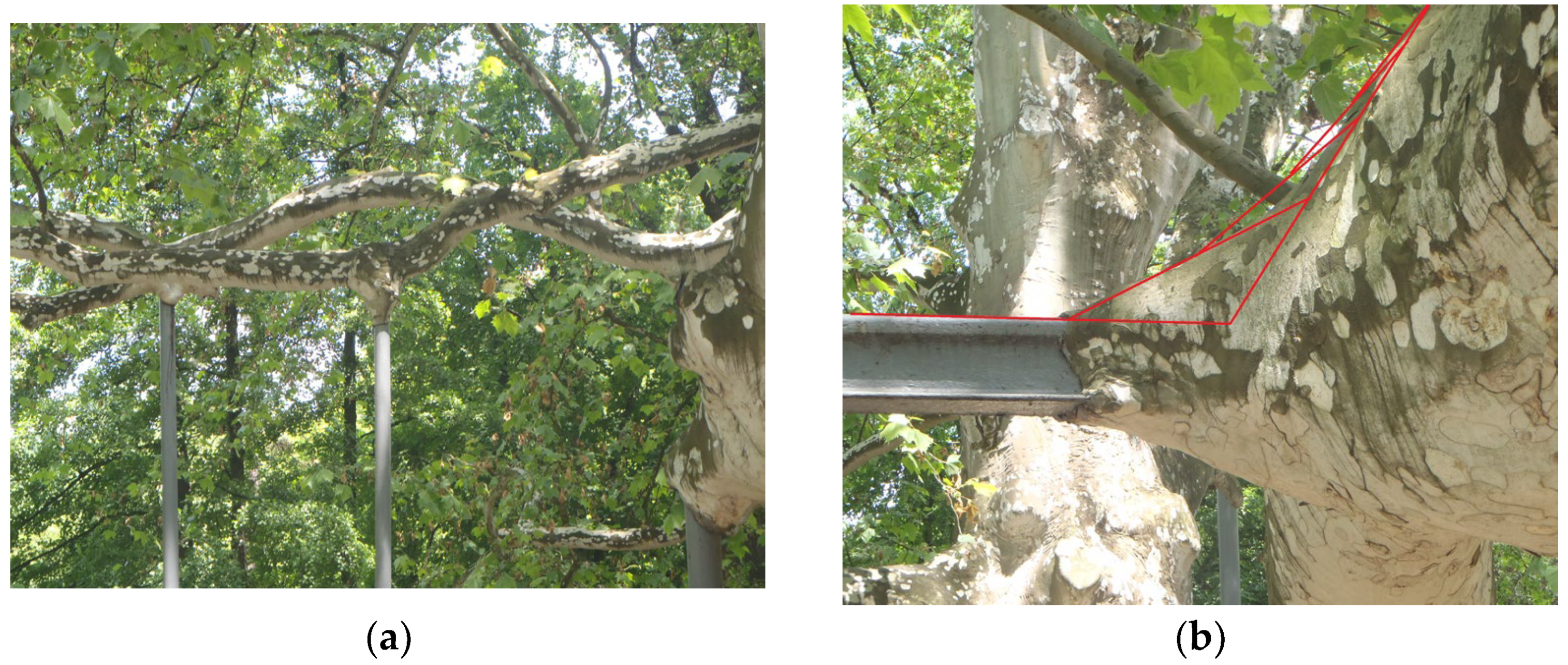 Biomimetics 08 00308 g001