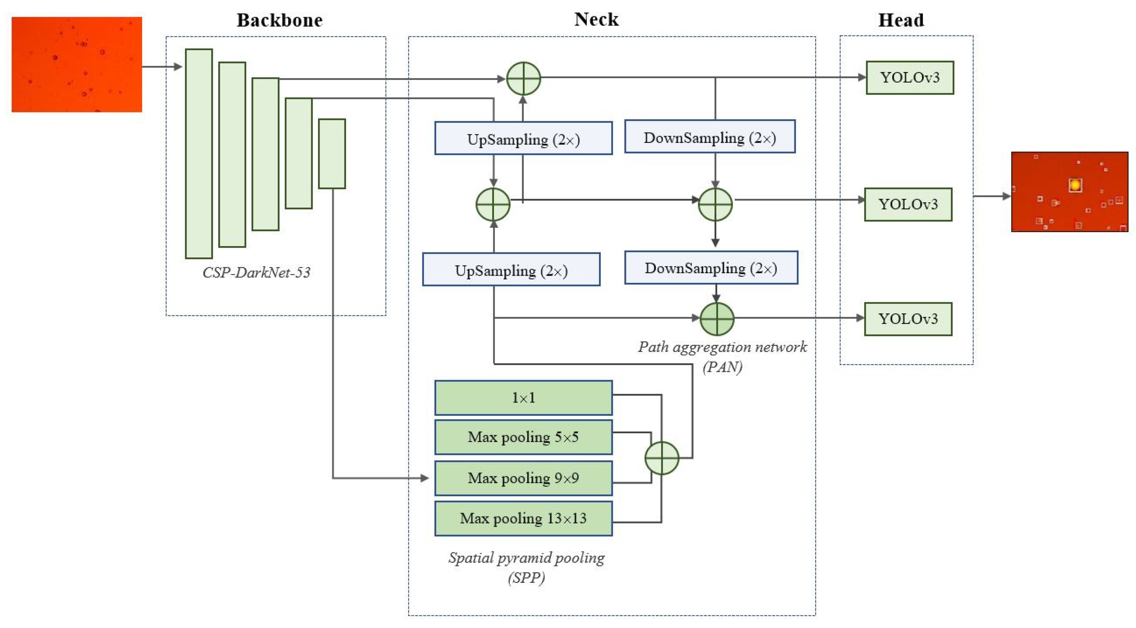 Biomimetics 08 00309 g005