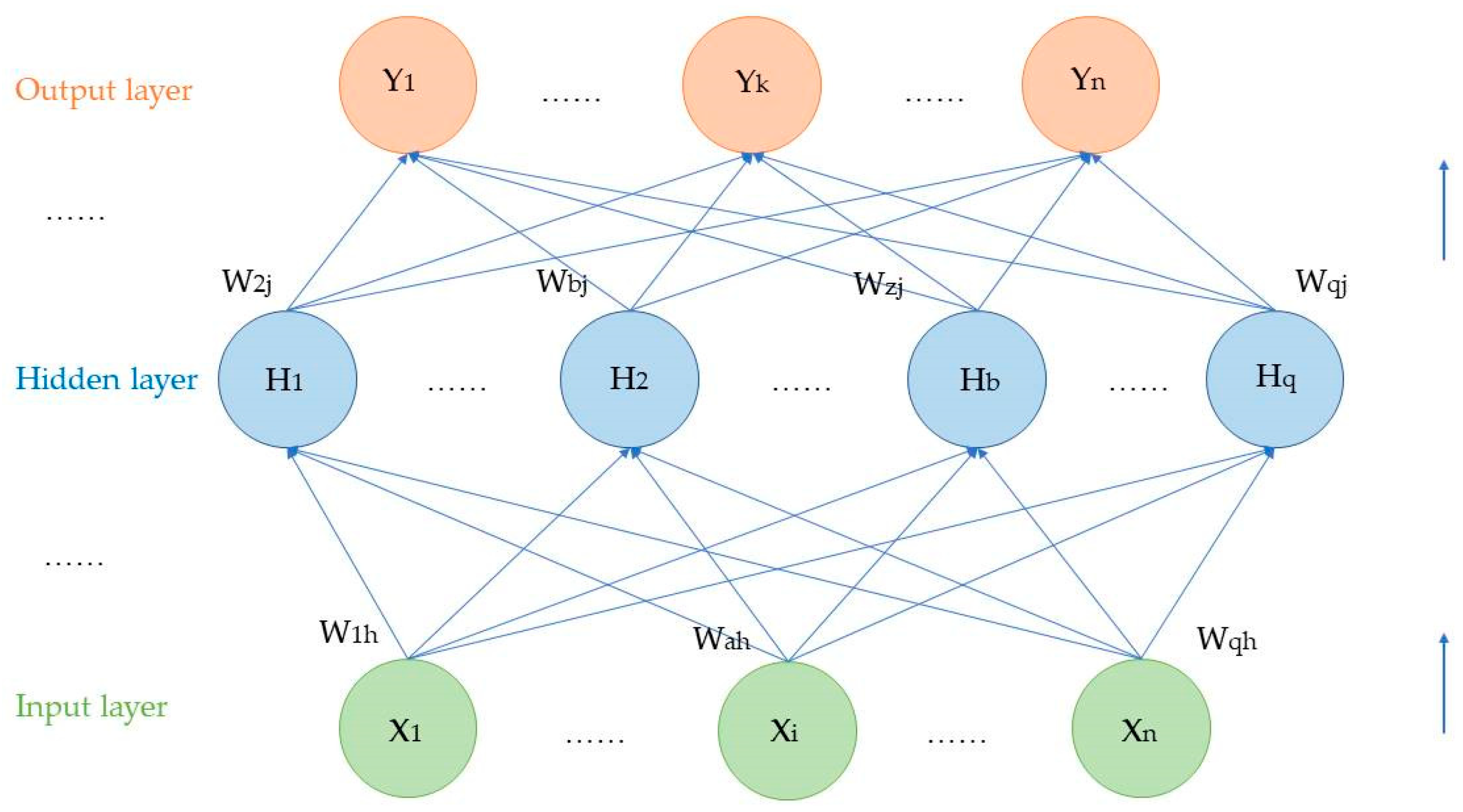 Biomimetics 08 00312 g003