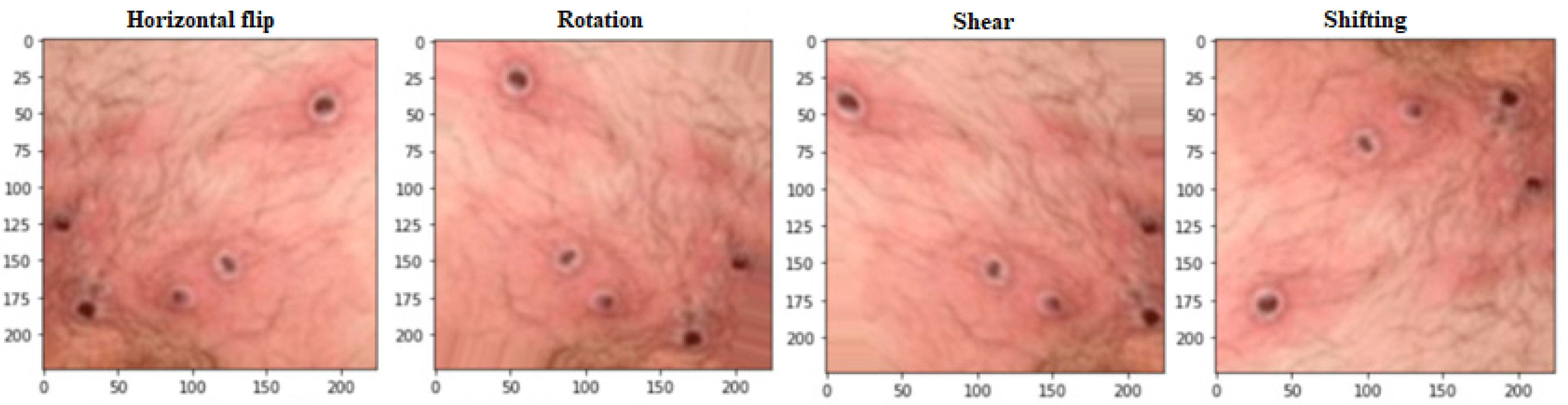 Biomimetics 08 00313 g002