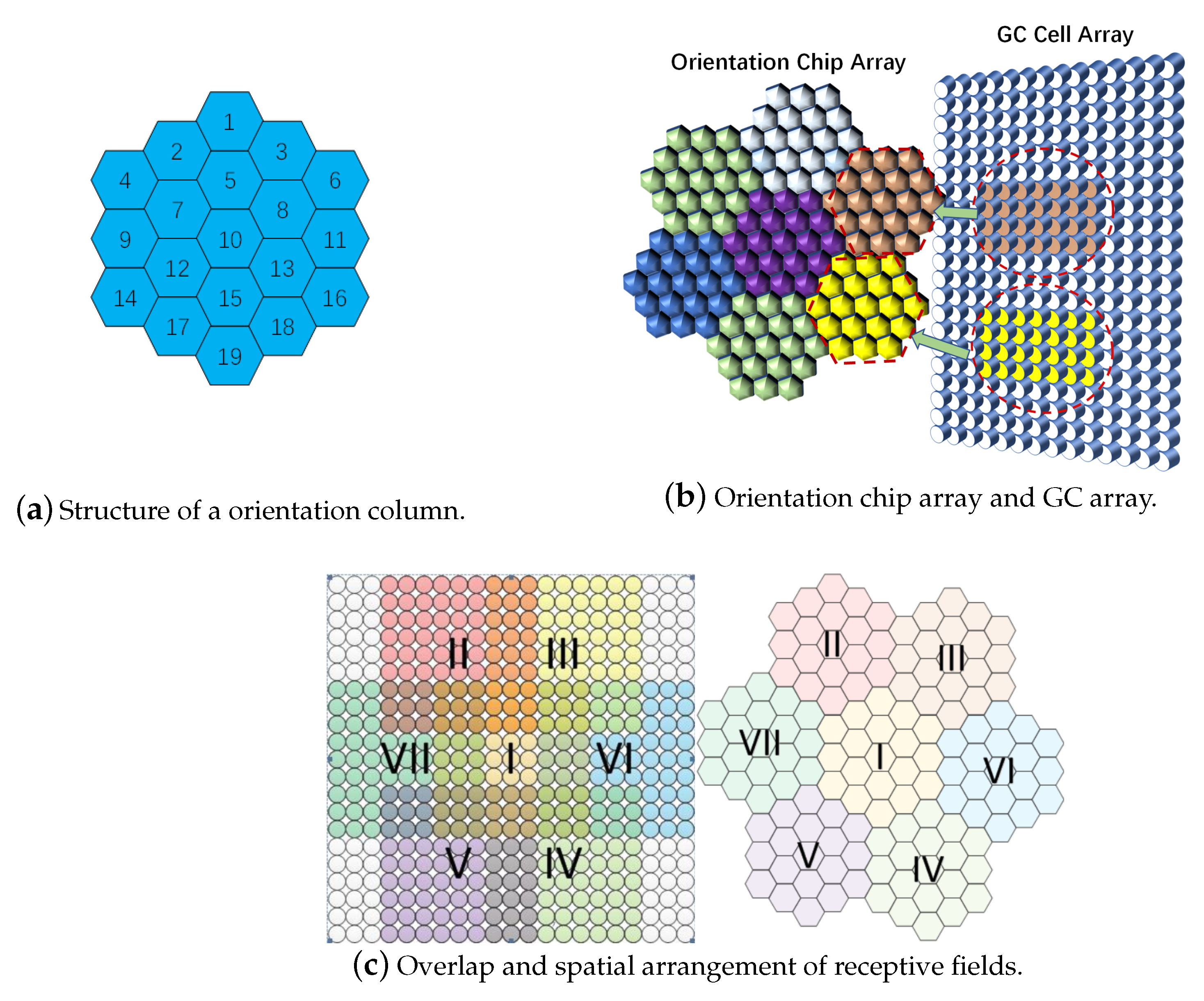 Biomimetics 08 00314 g002