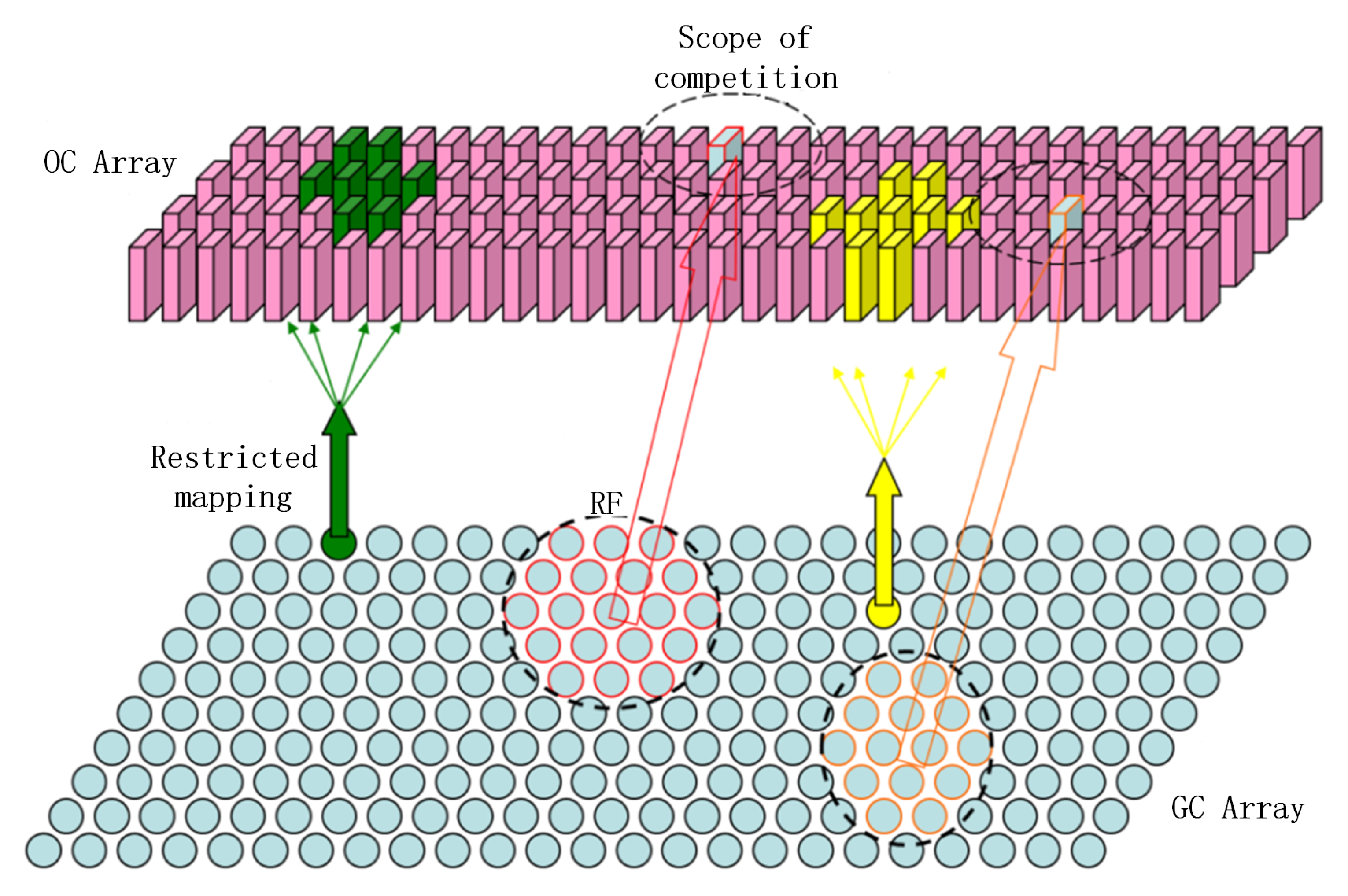 Biomimetics 08 00314 g003
