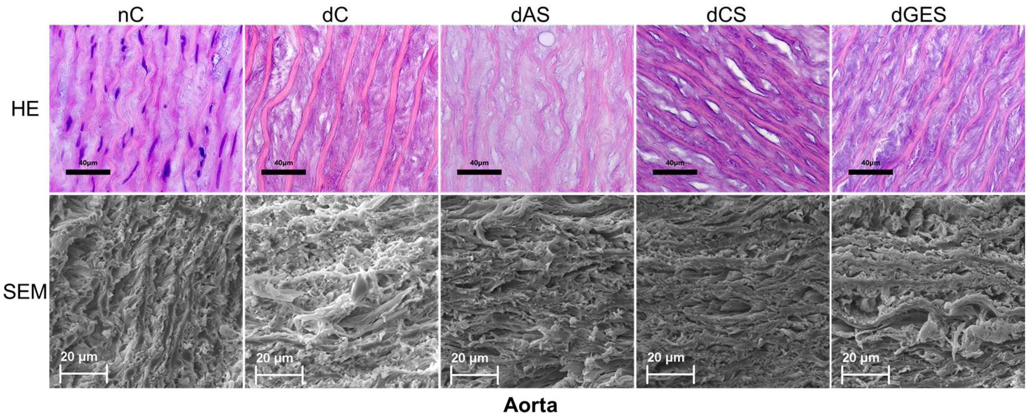 Biomimetics 08 00315 g007