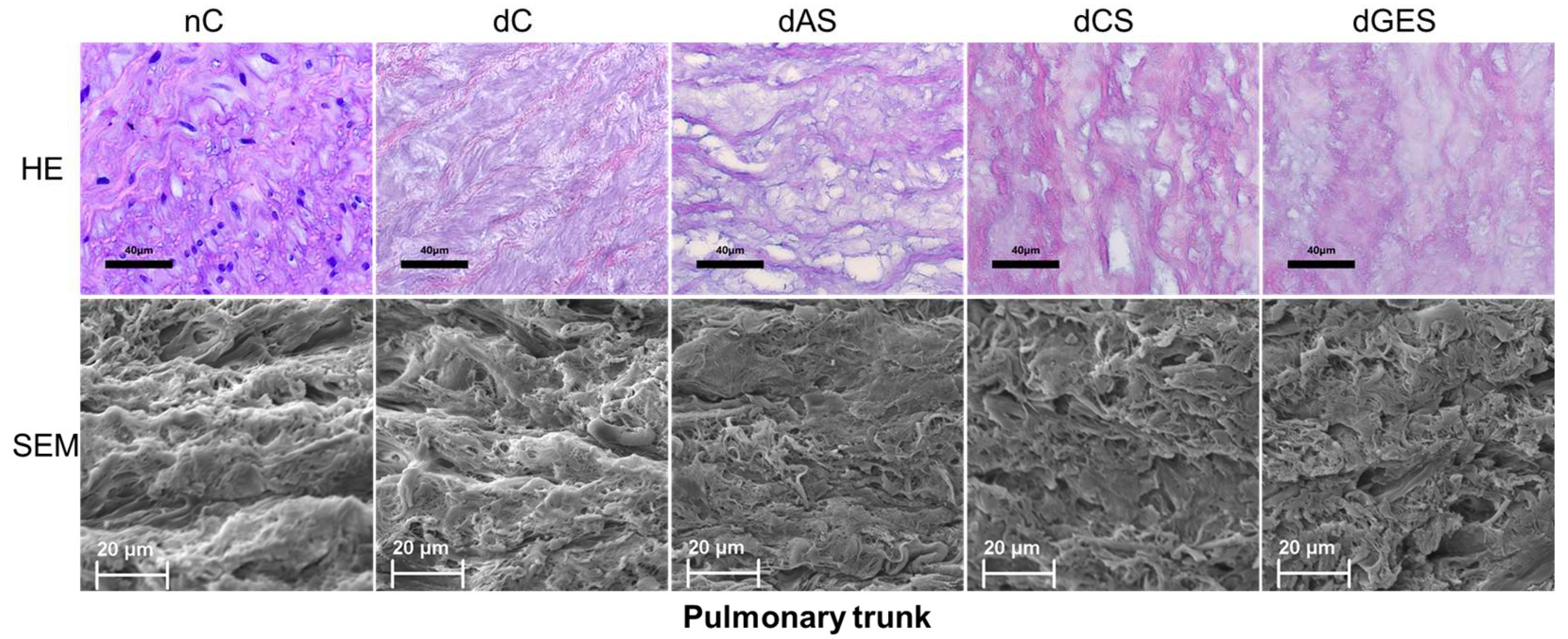 Biomimetics 08 00315 g008