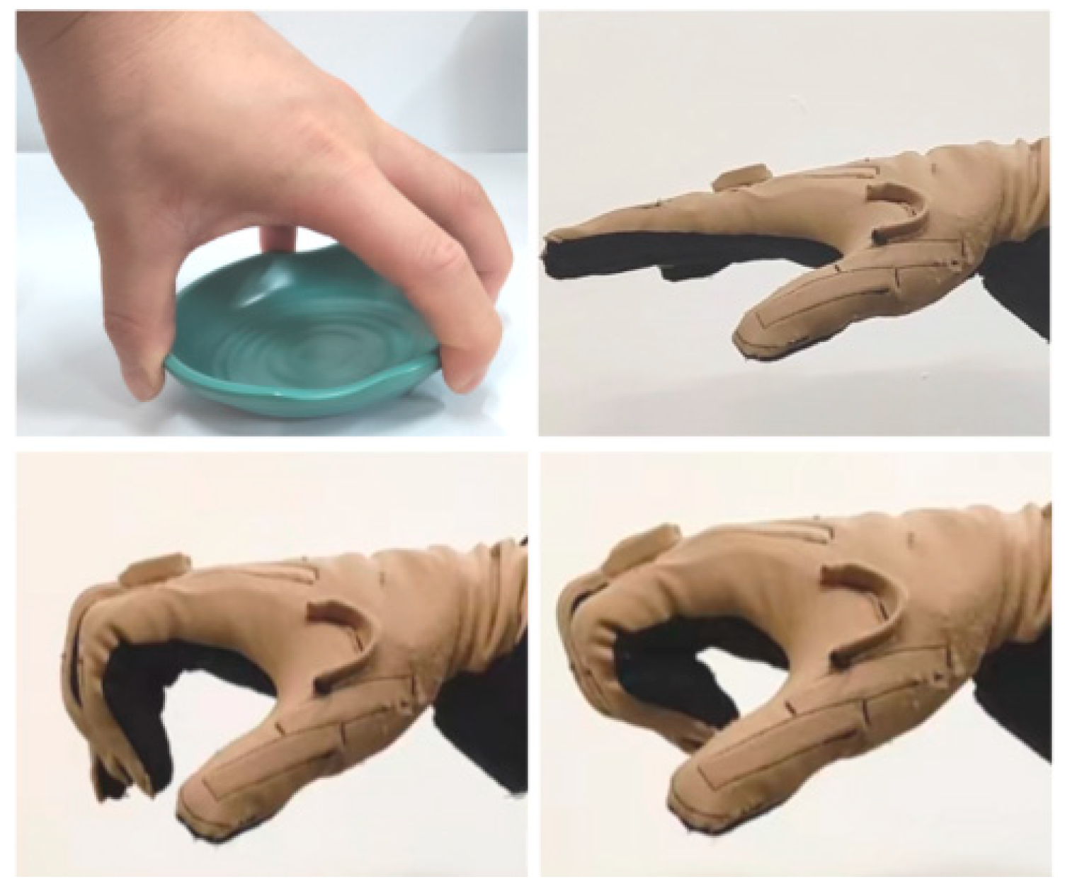 Biomimetics 08 00316 g005