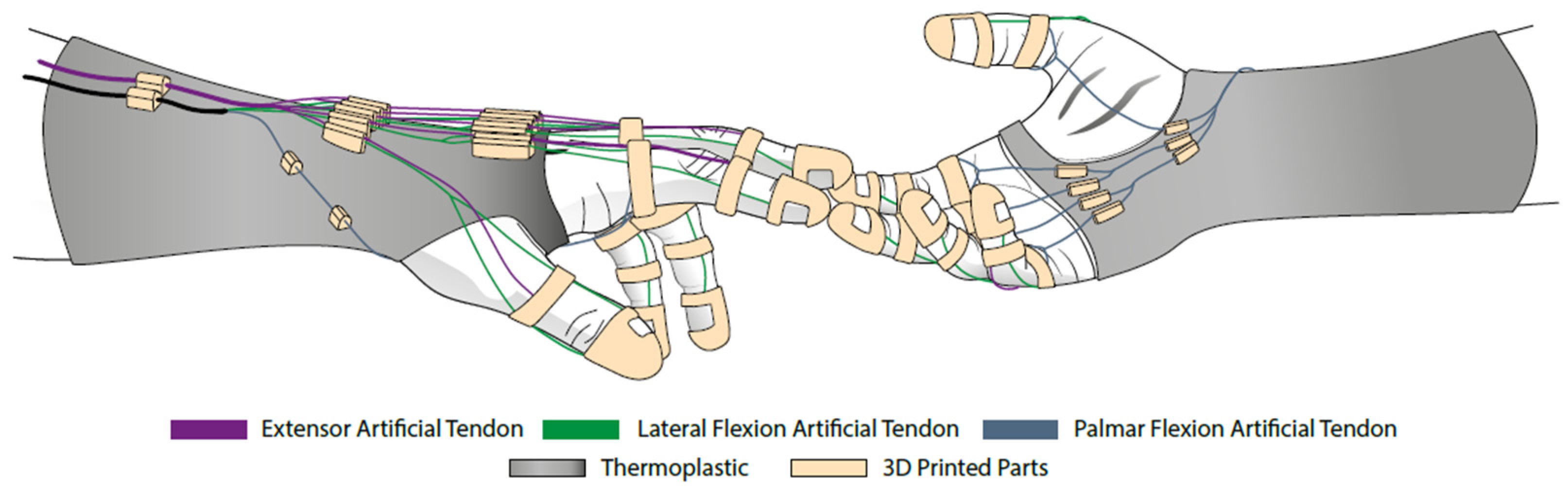 Biomimetics 08 00317 g002 Biomimetics 08 00317 g002