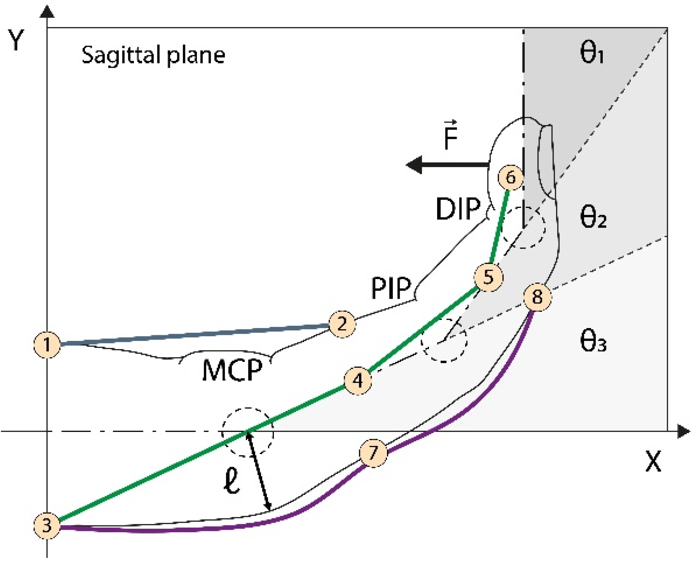 Biomimetics 08 00317 g003 Biomimetics 08 00317 g003