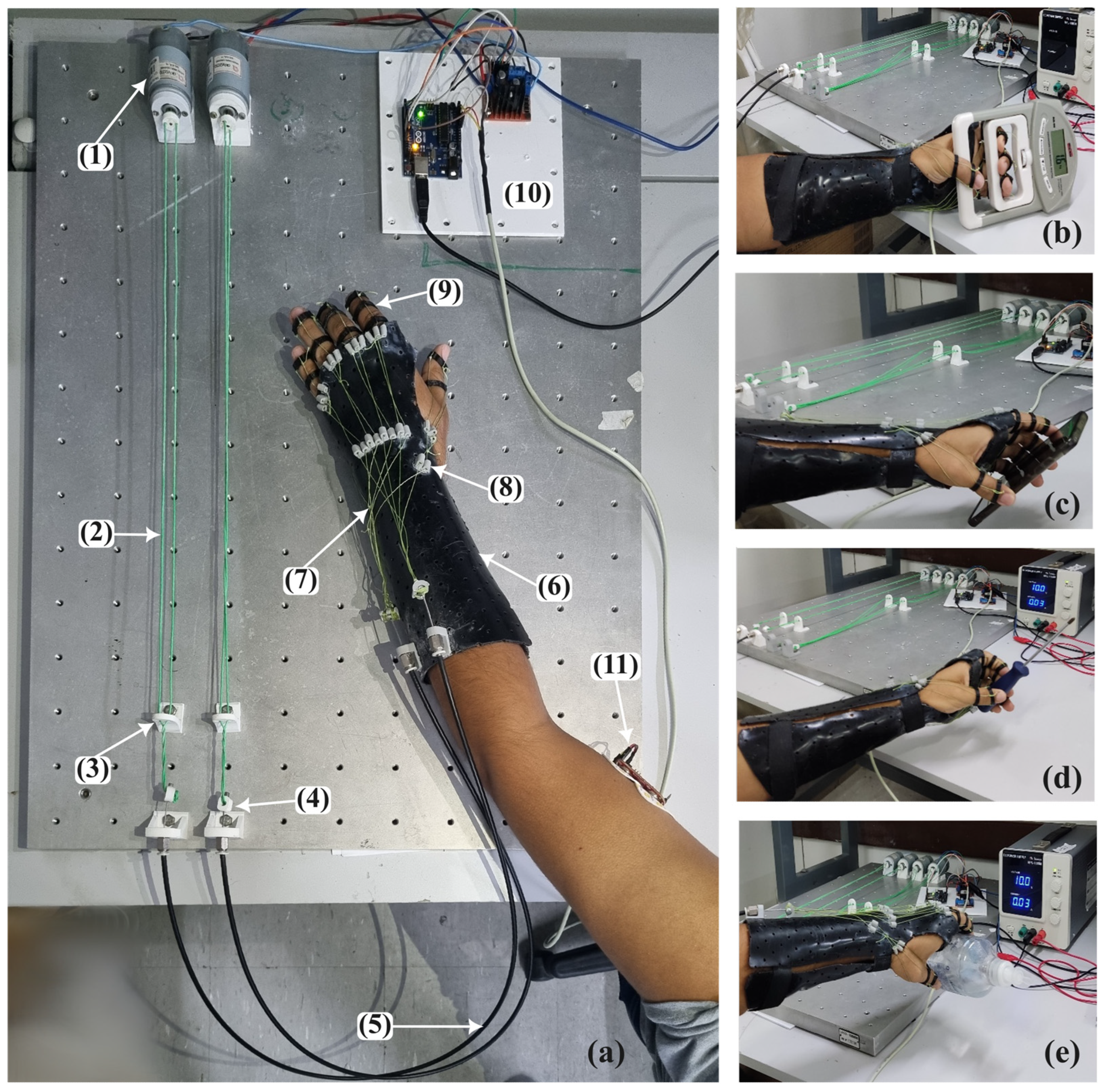 Biomimetics 08 00317 g005 Biomimetics 08 00317 g005
