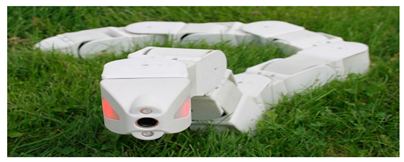 Biomimetics 08 00318 i003